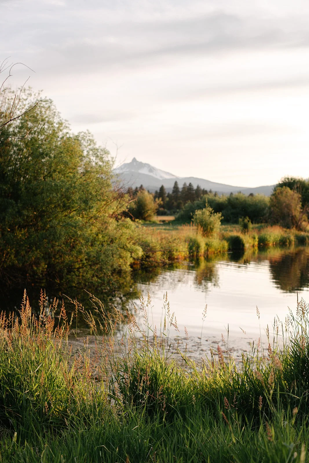 Portra 160-0127_websize.jpg