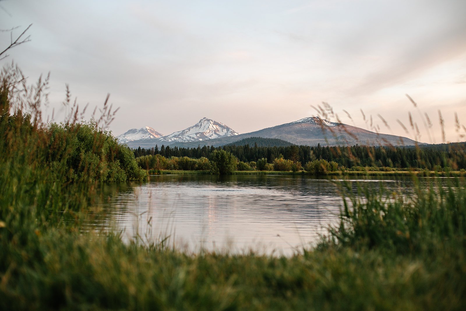 Portra 160-0082_websize.jpg