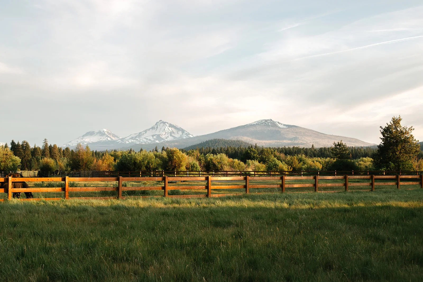 Portra 160-0138_websize.jpg