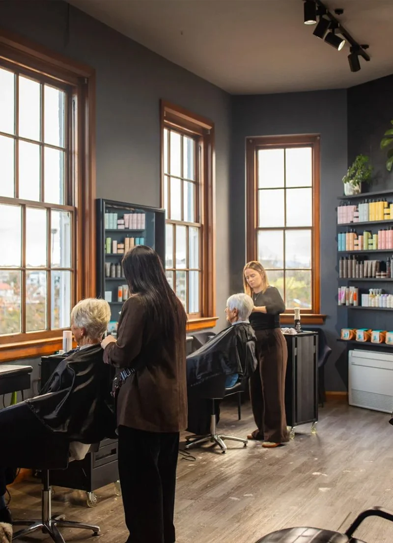 Inside a modern hair salon with large windows, two hairdressers work on elderly women's hair, with shelves of hair products on the walls and natural light streaming in.