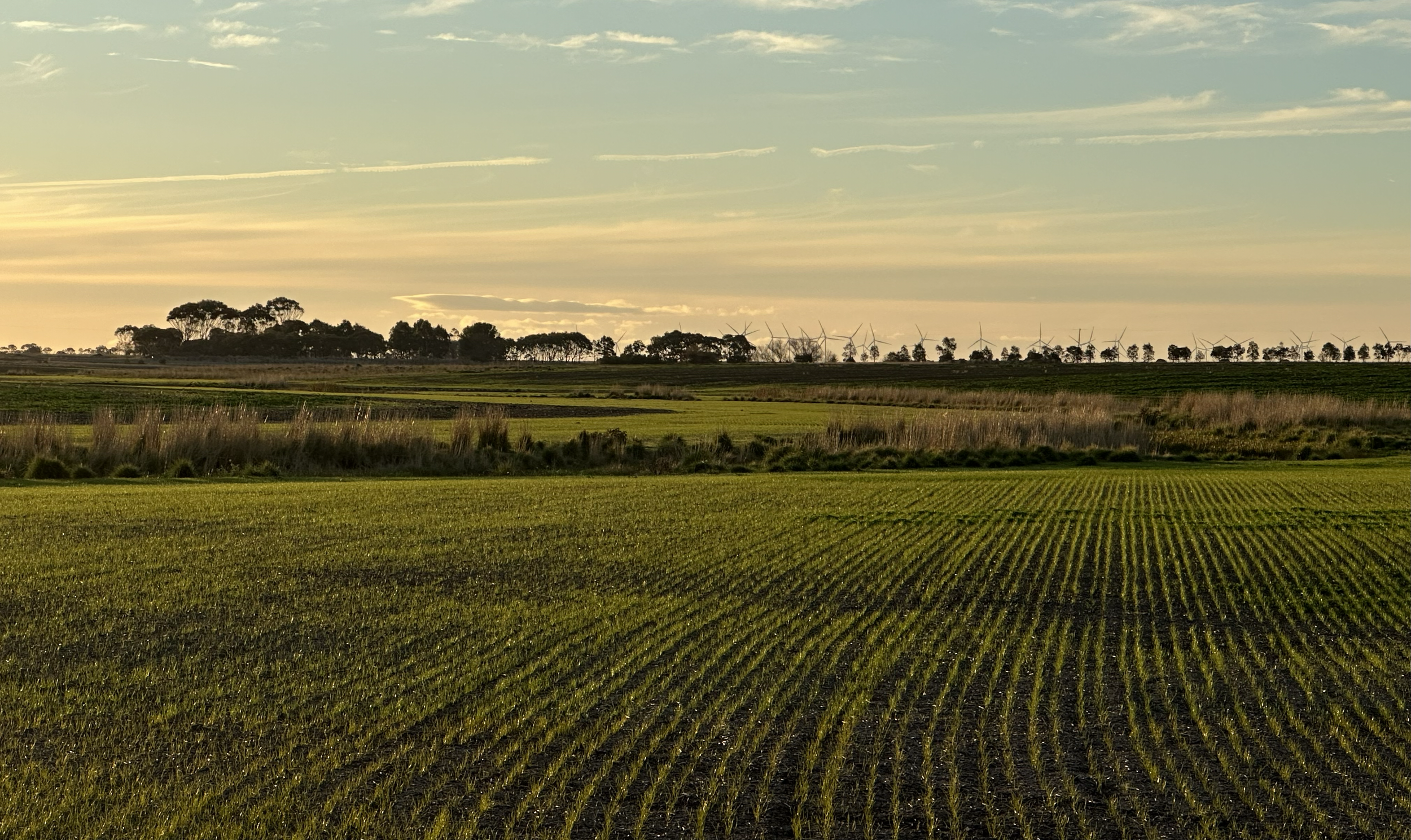 Murchs Corner landscape view 2