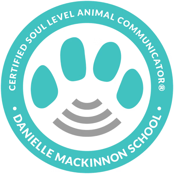 Atlanta animal communicator Zoom sessions, intuitive pet readings Atlanta, pet pyshic near me, grieving loss of pet