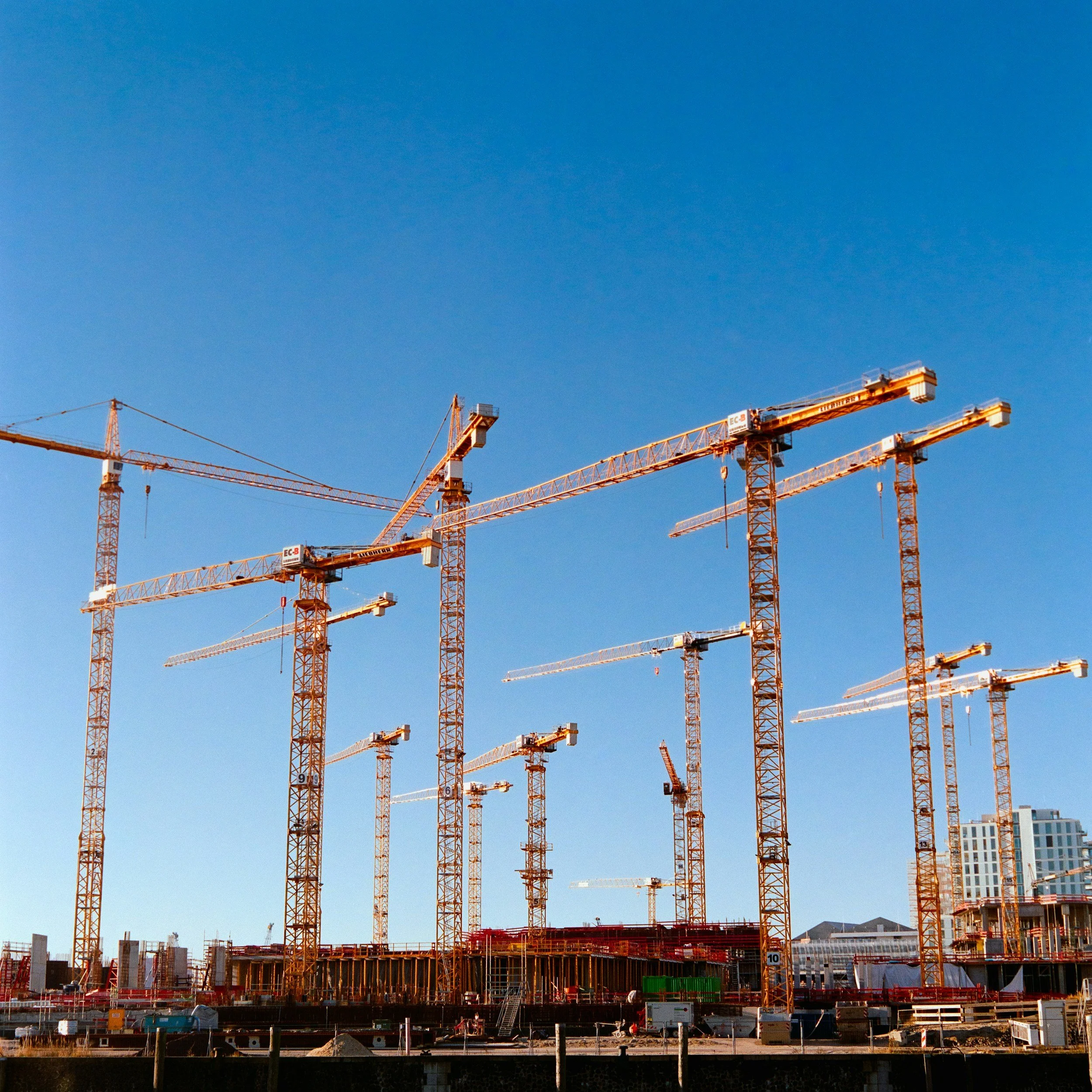 Multiple orange construction cranes over a building site under a blue sky.