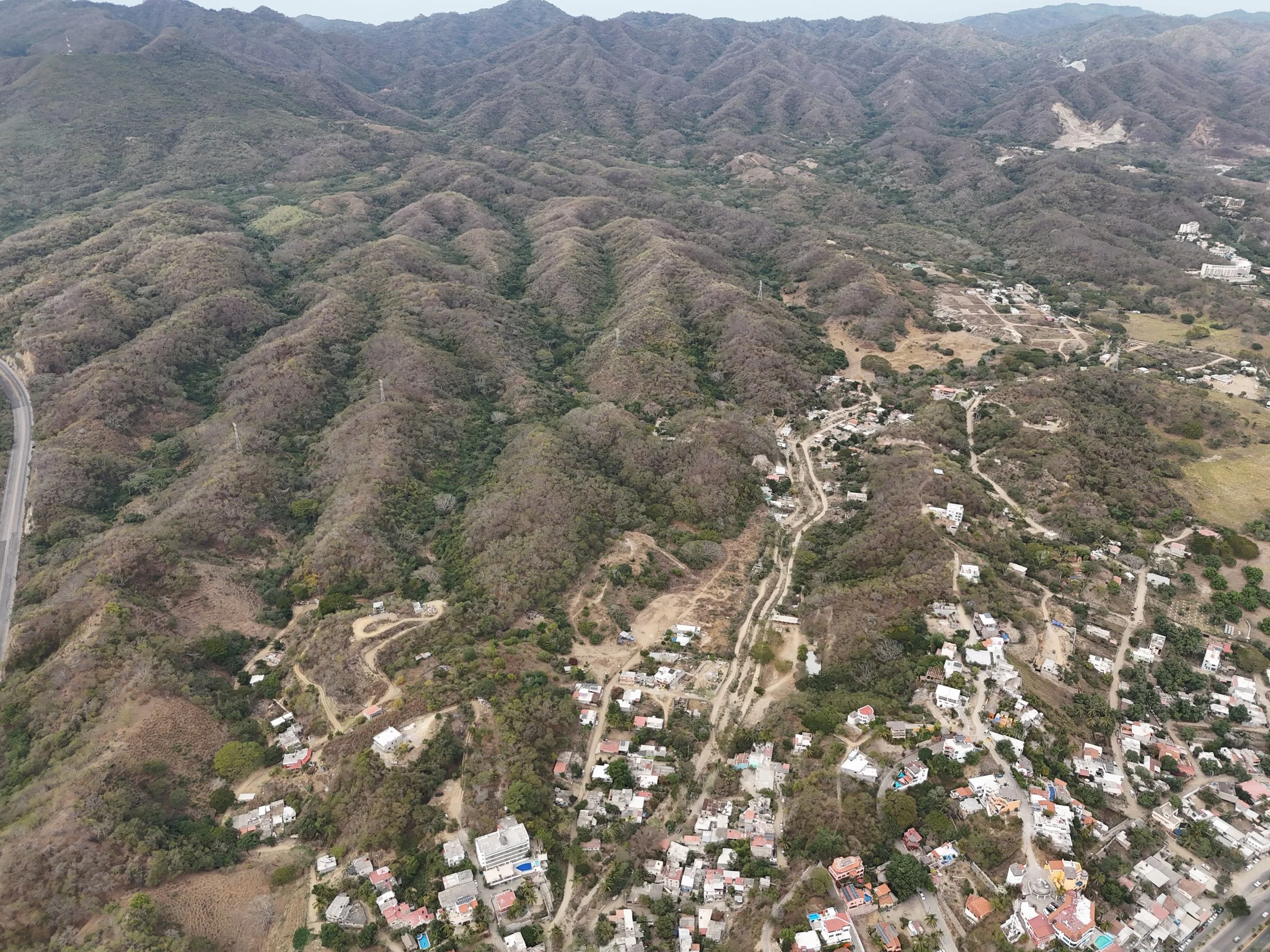 The Agave Landscape Of Nayarit: From Ancient Traditions To Modern Production