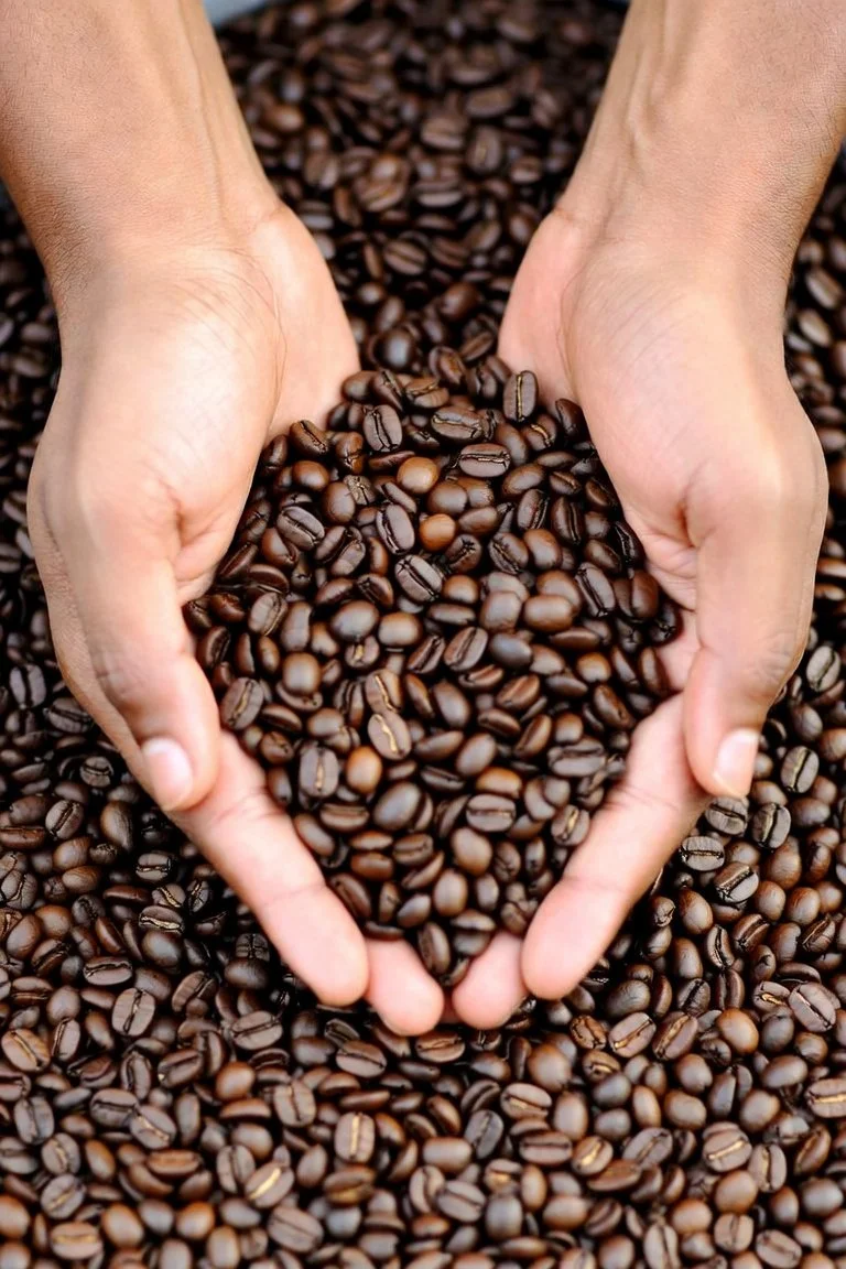 The Coffee Route Of Nayarit: Exploring The State’s Mountain Coffee Country