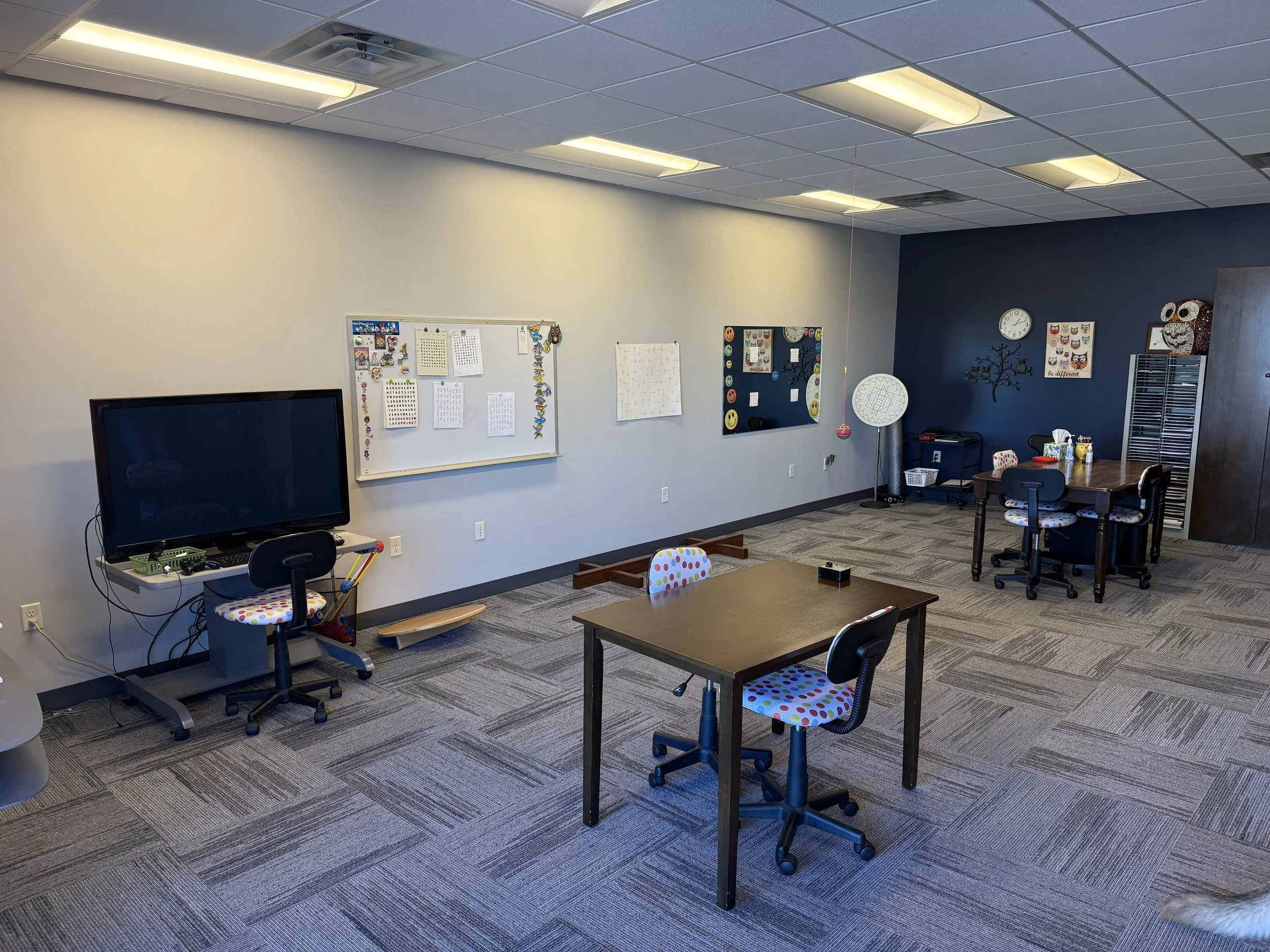 Falls Family Eye Care River Falls WI Vision Therapy for Children and Adults