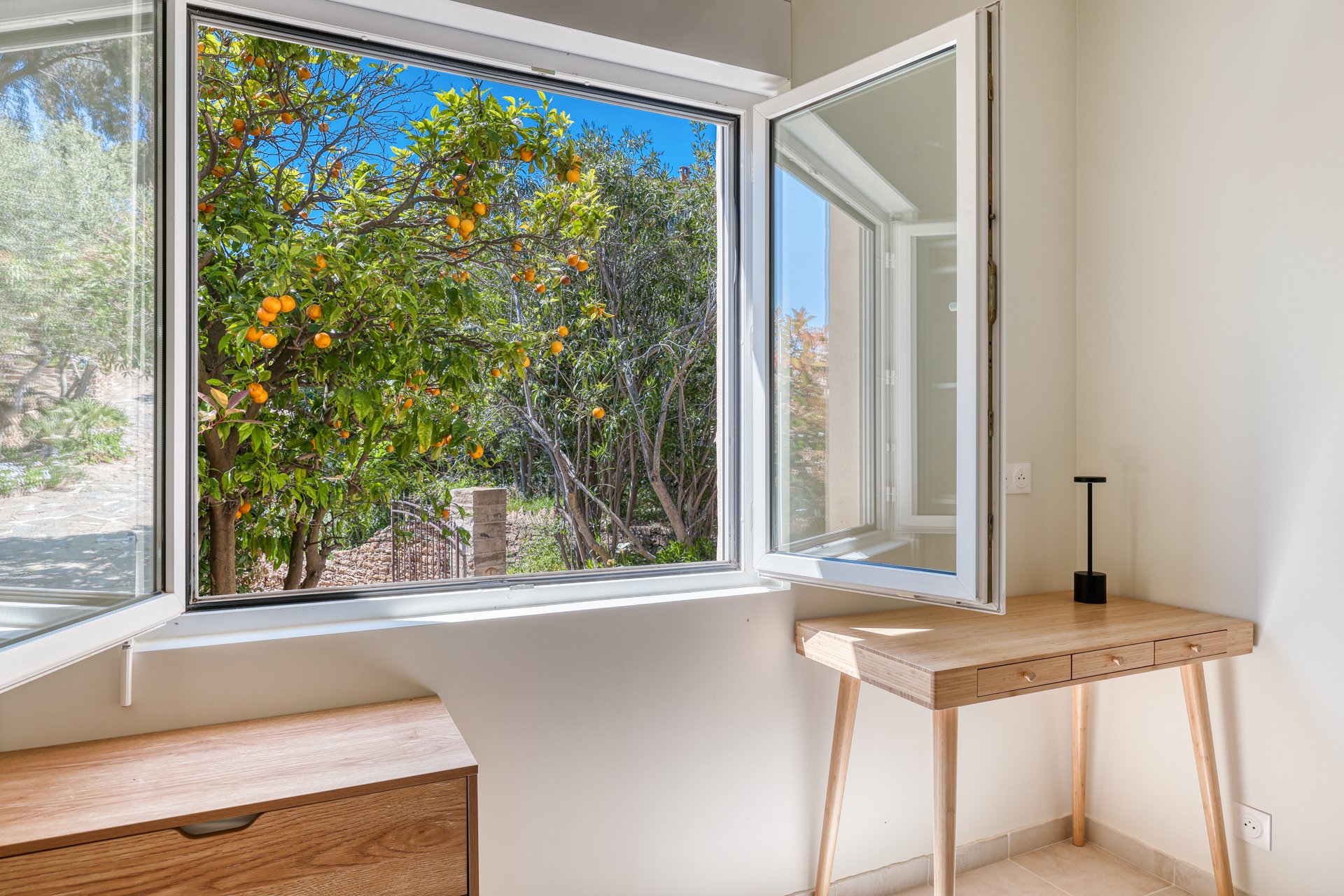 Open window in a room reveals a tree with orange fruits outside on a sunny day.