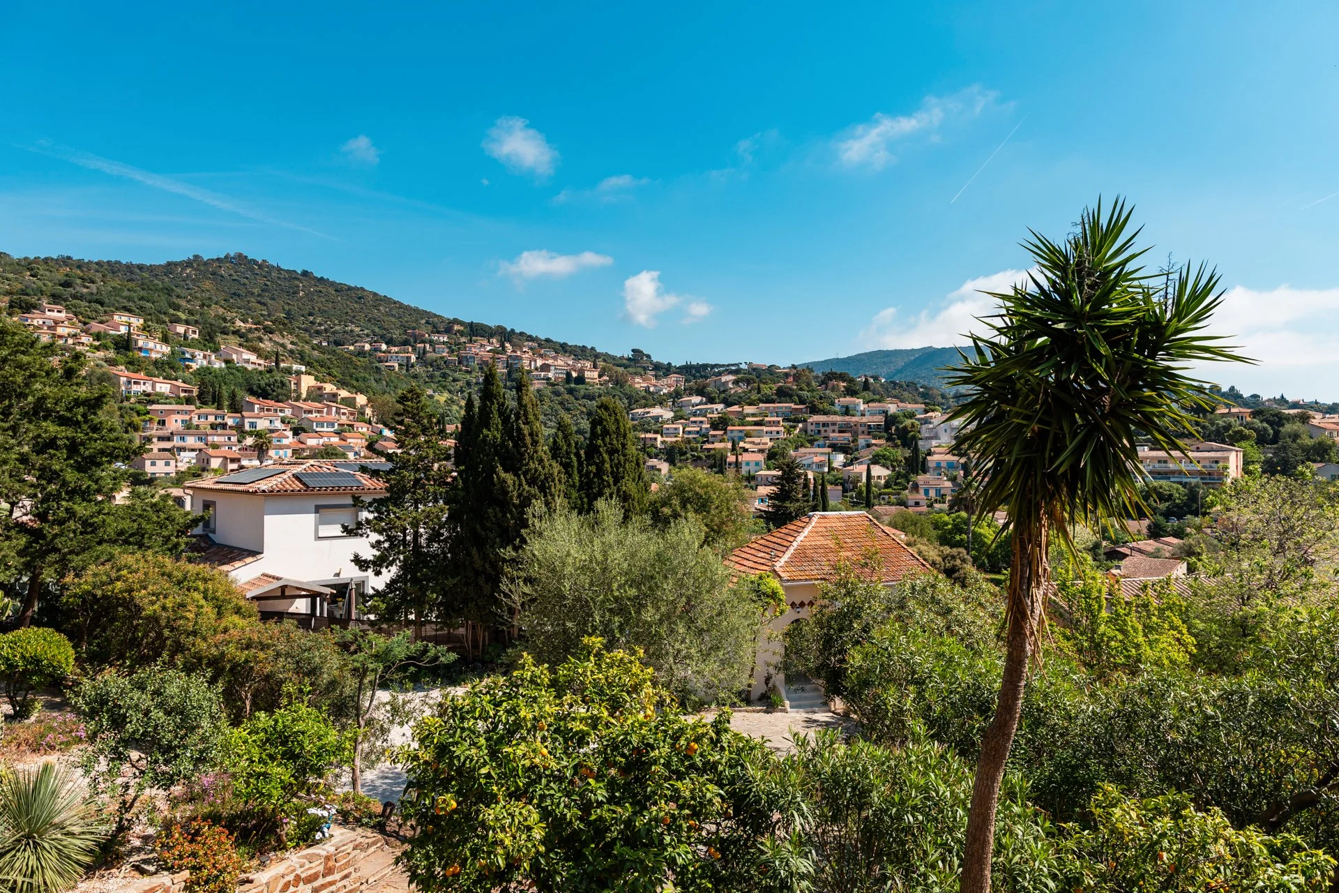 A hillside residential neighborhood with numerous houses, surrounded by lush green trees under a bright blue sky with some clouds and contrails.