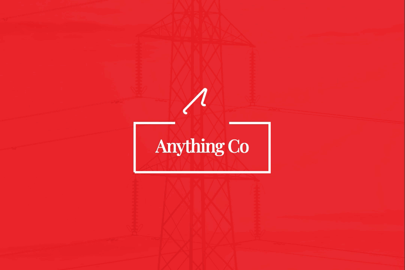 Anything Co