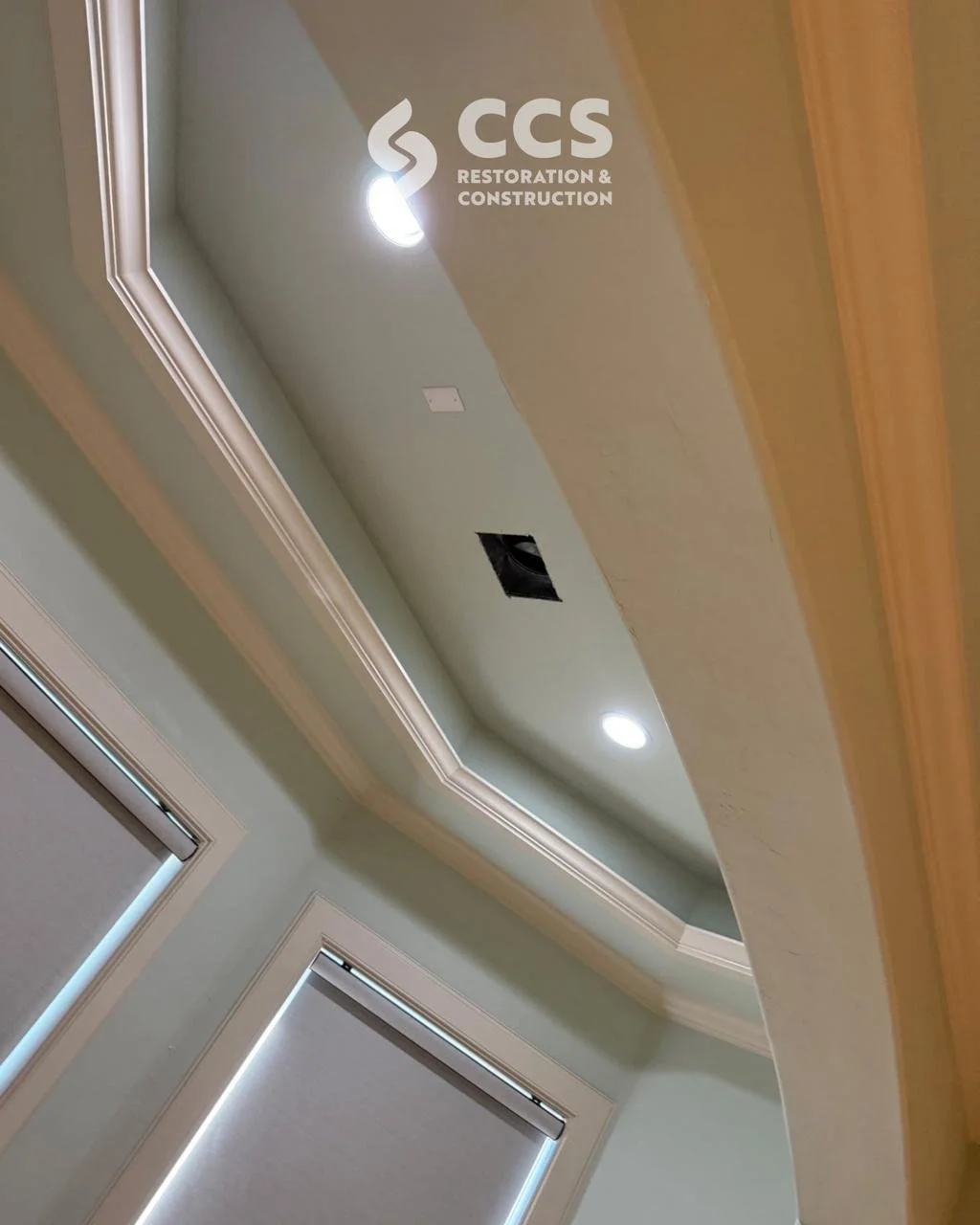 Ceiling water damage and mold remediation service in Cypress TX home