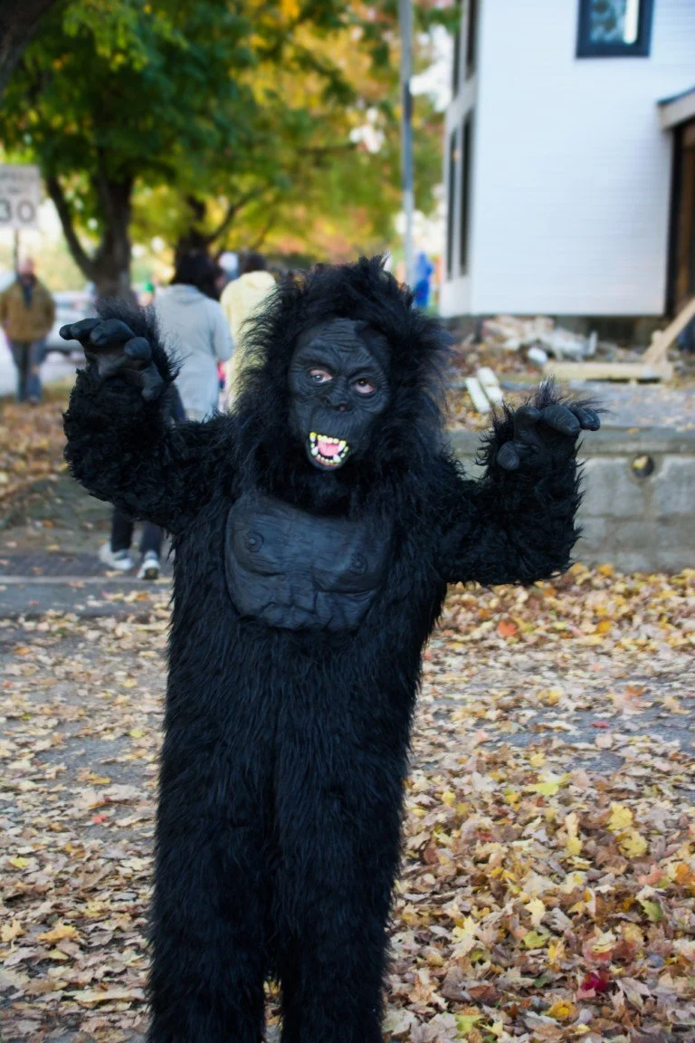 DSC_6637.jpg
