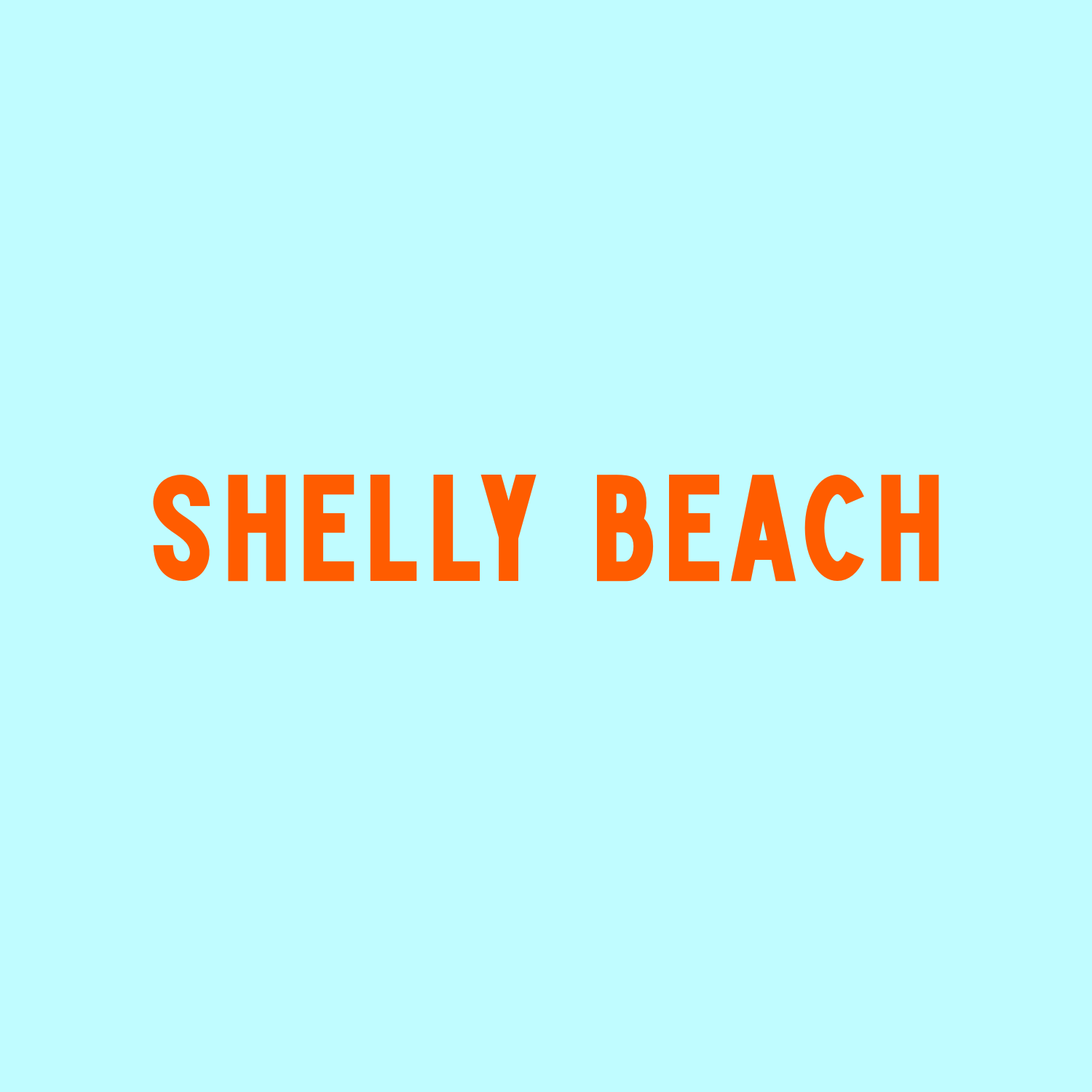 shelly beach