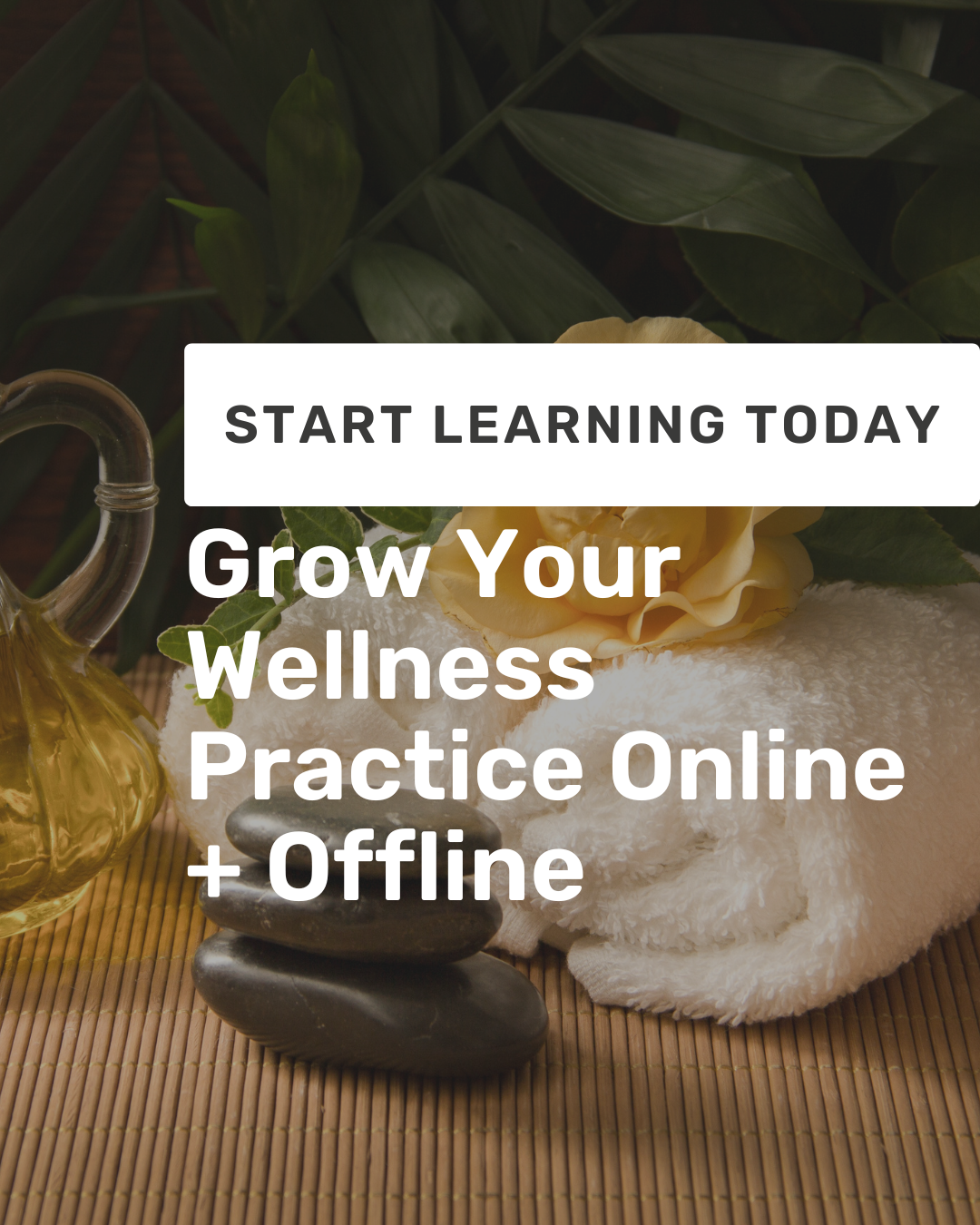Build Your Wellness Practice Online & Offline