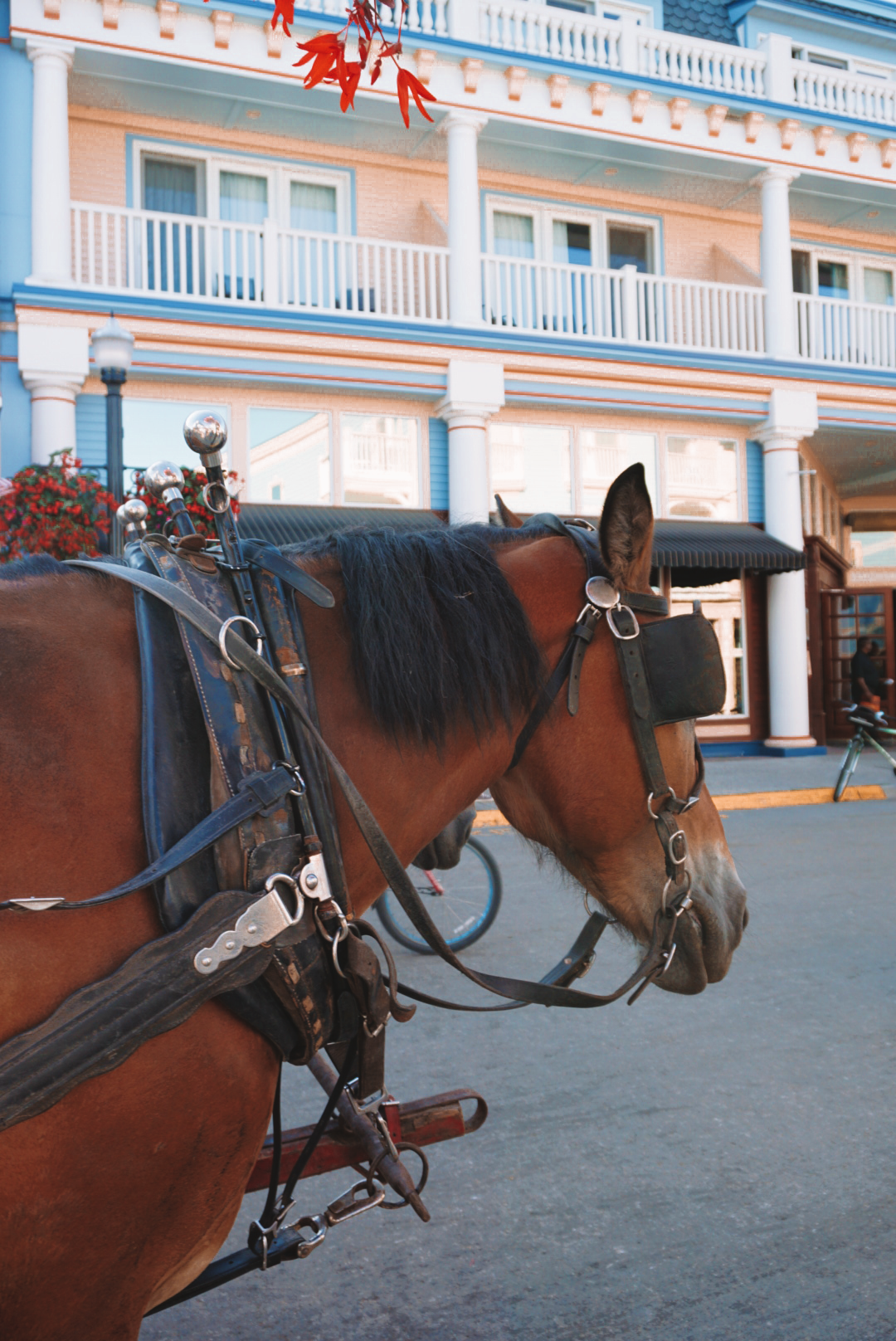 Mackinac island 
