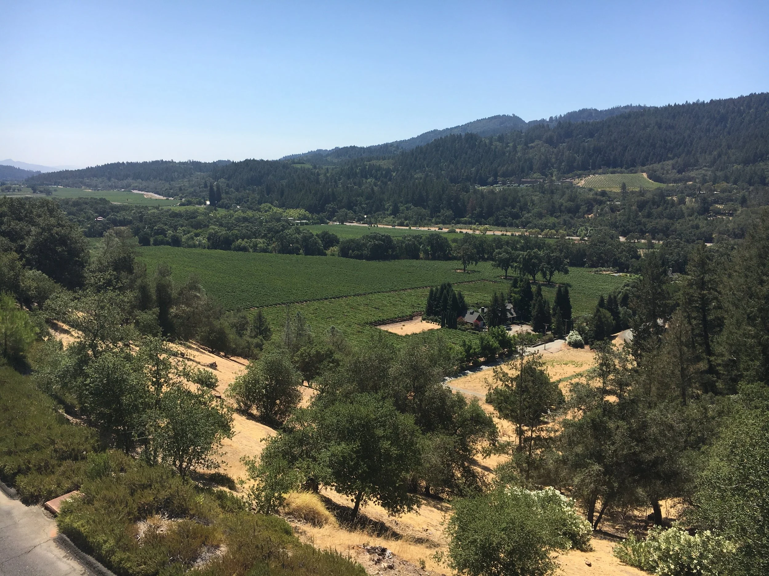 Napa | Sterling Vinyards