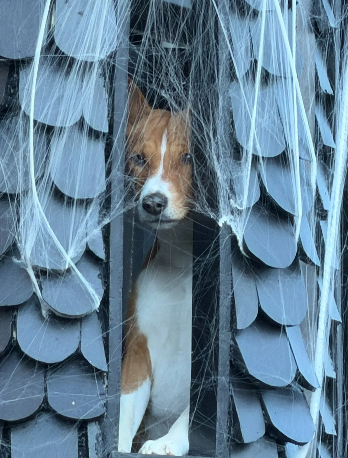 1070A8AD-7D7F-4EC4-80E7-051D0E2D1655 2.JPG