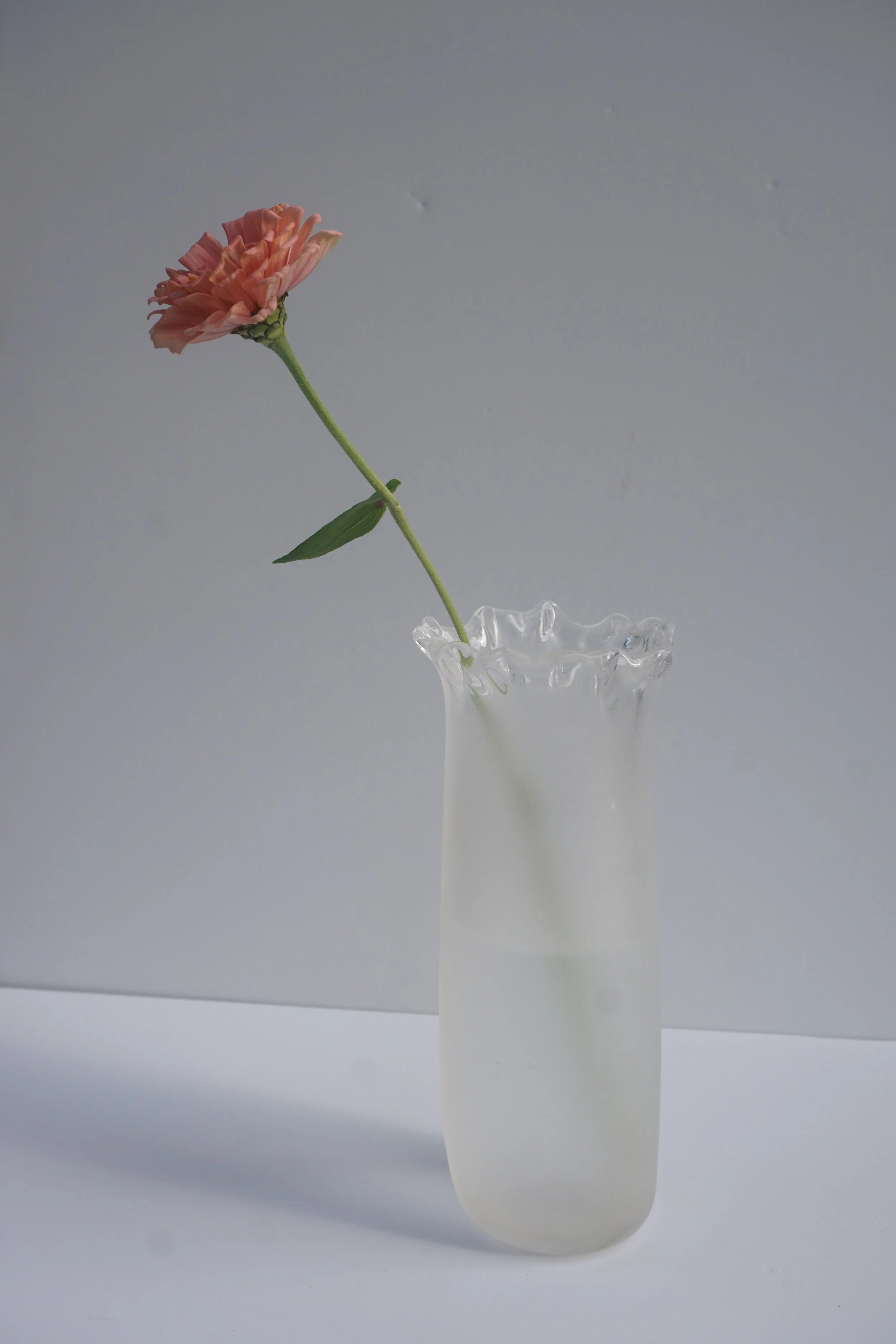 DSC08152.JPG
