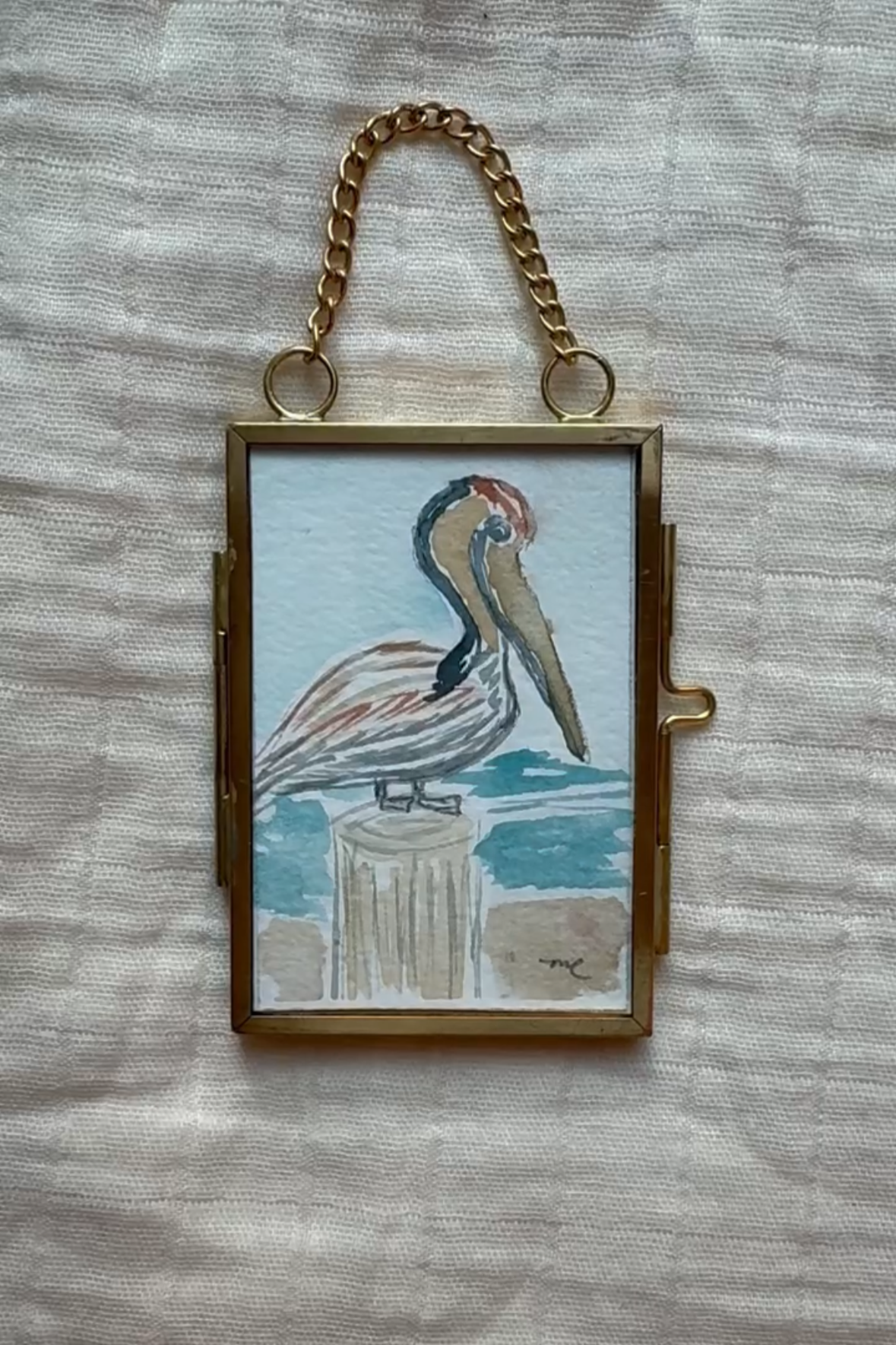 Pelican