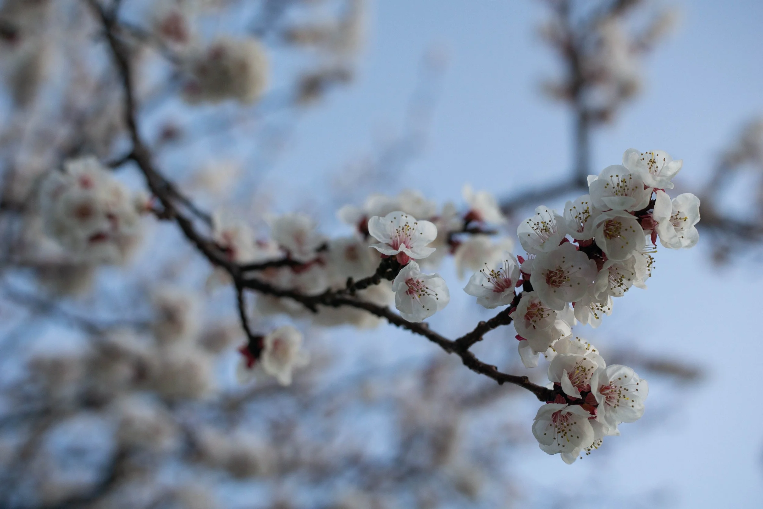 DSC05703.jpg