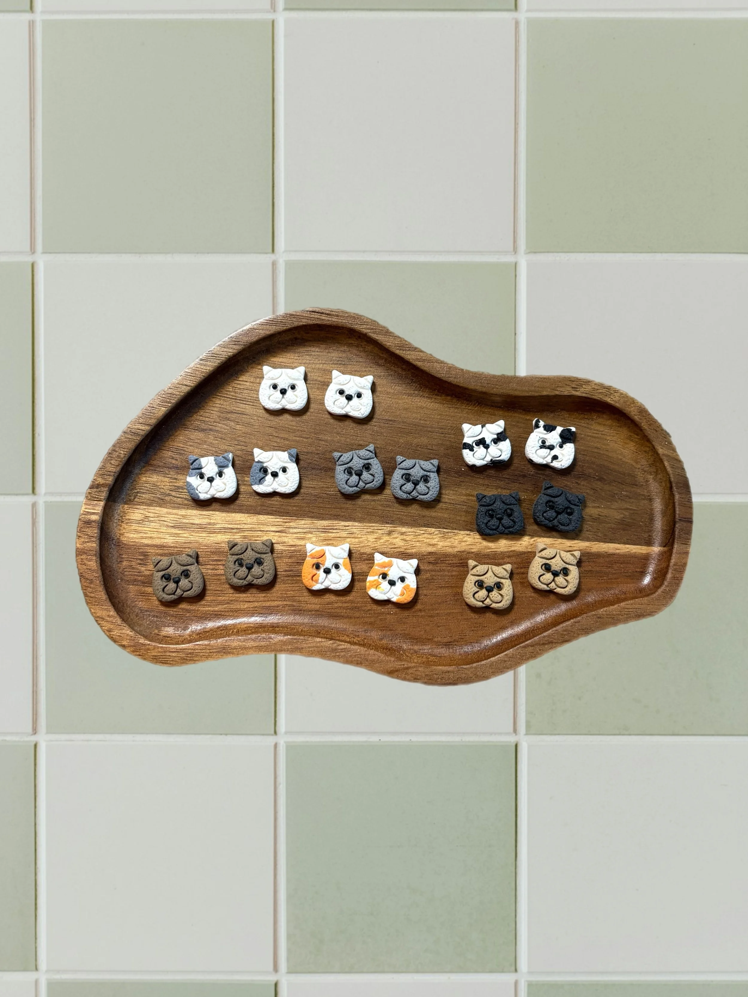 Persian Cat Studs