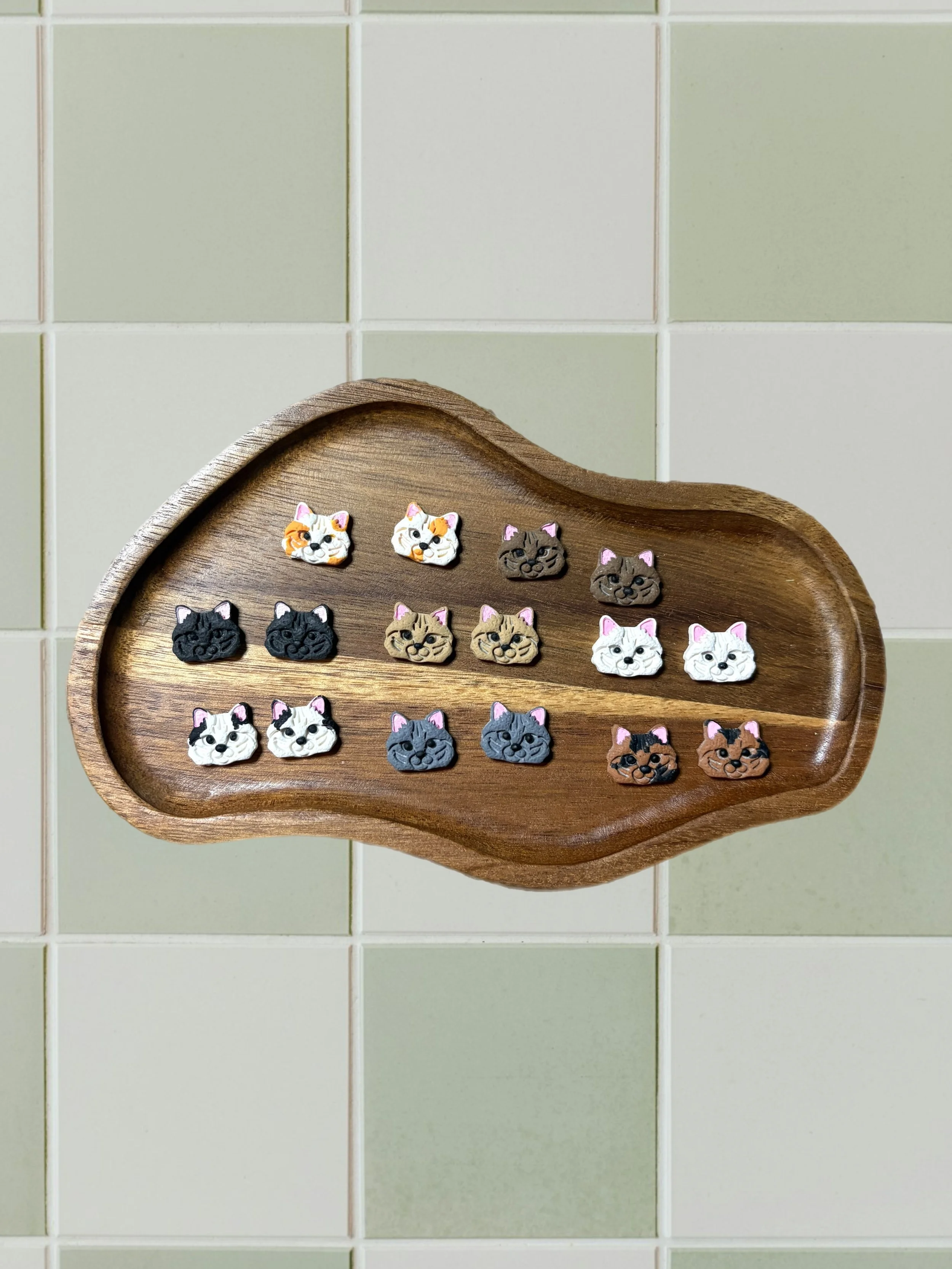 Domestic Longhaired Cat Studs