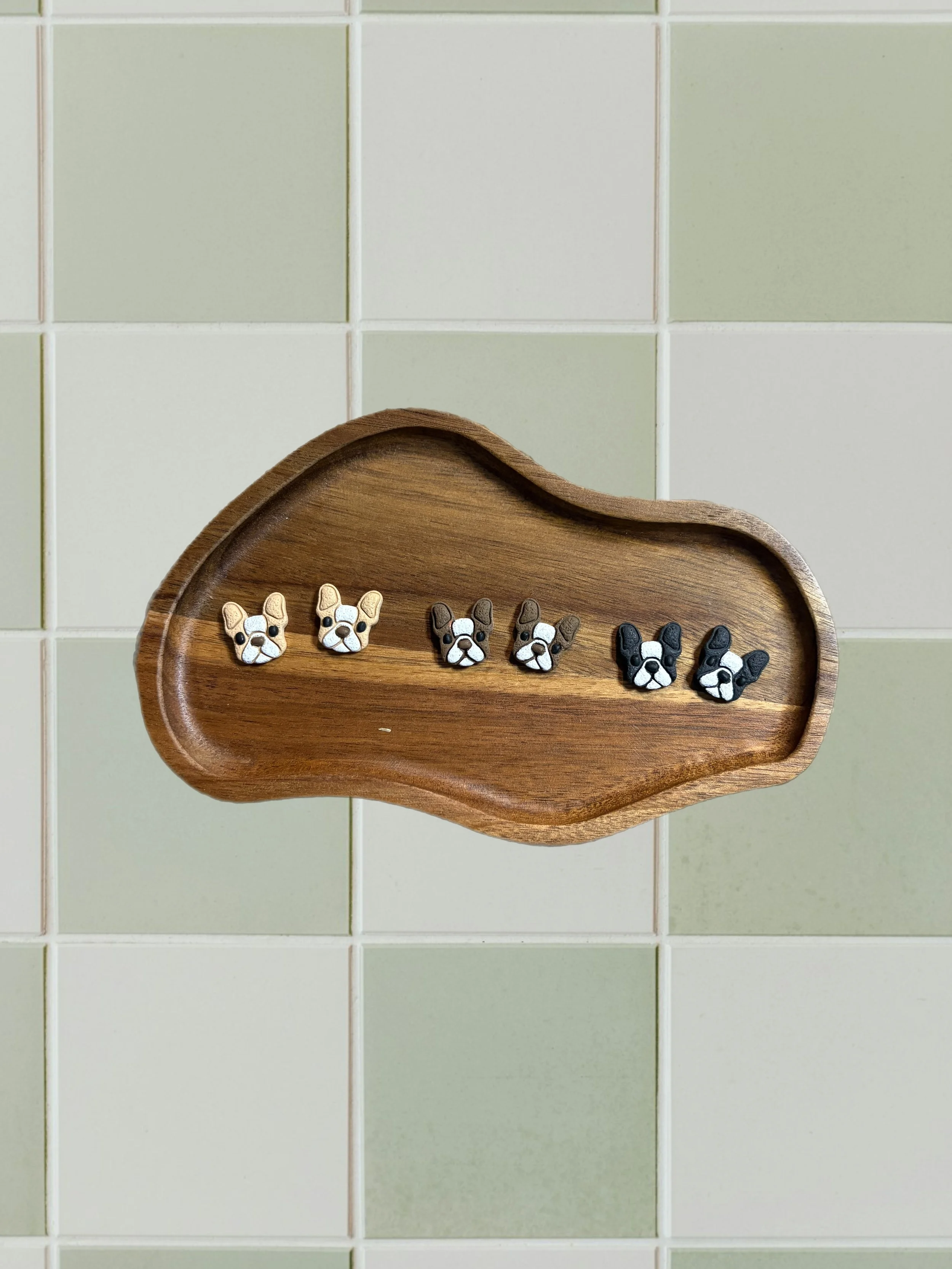 Boston Terrier Studs