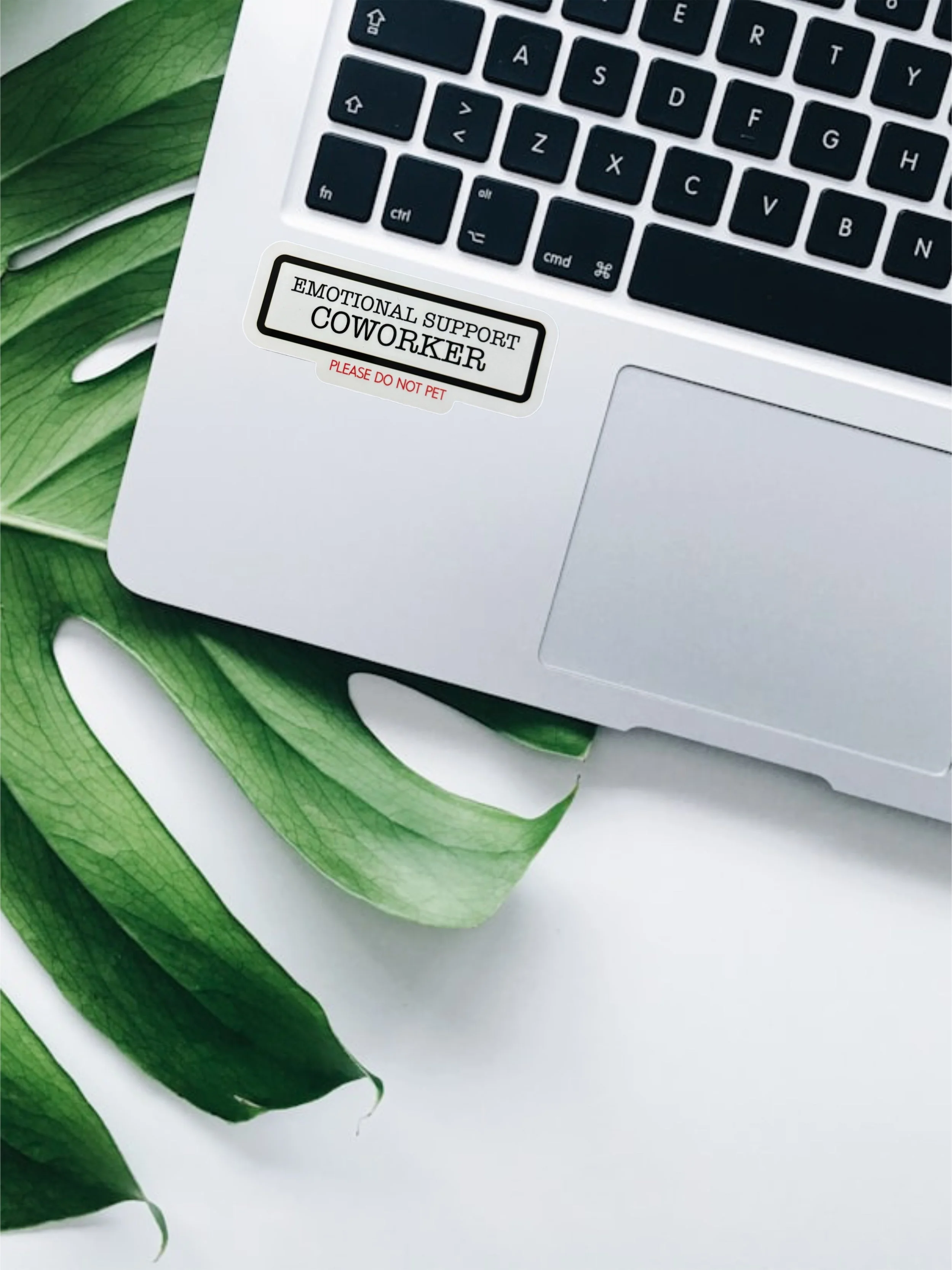 Emotional support coworker .JPG