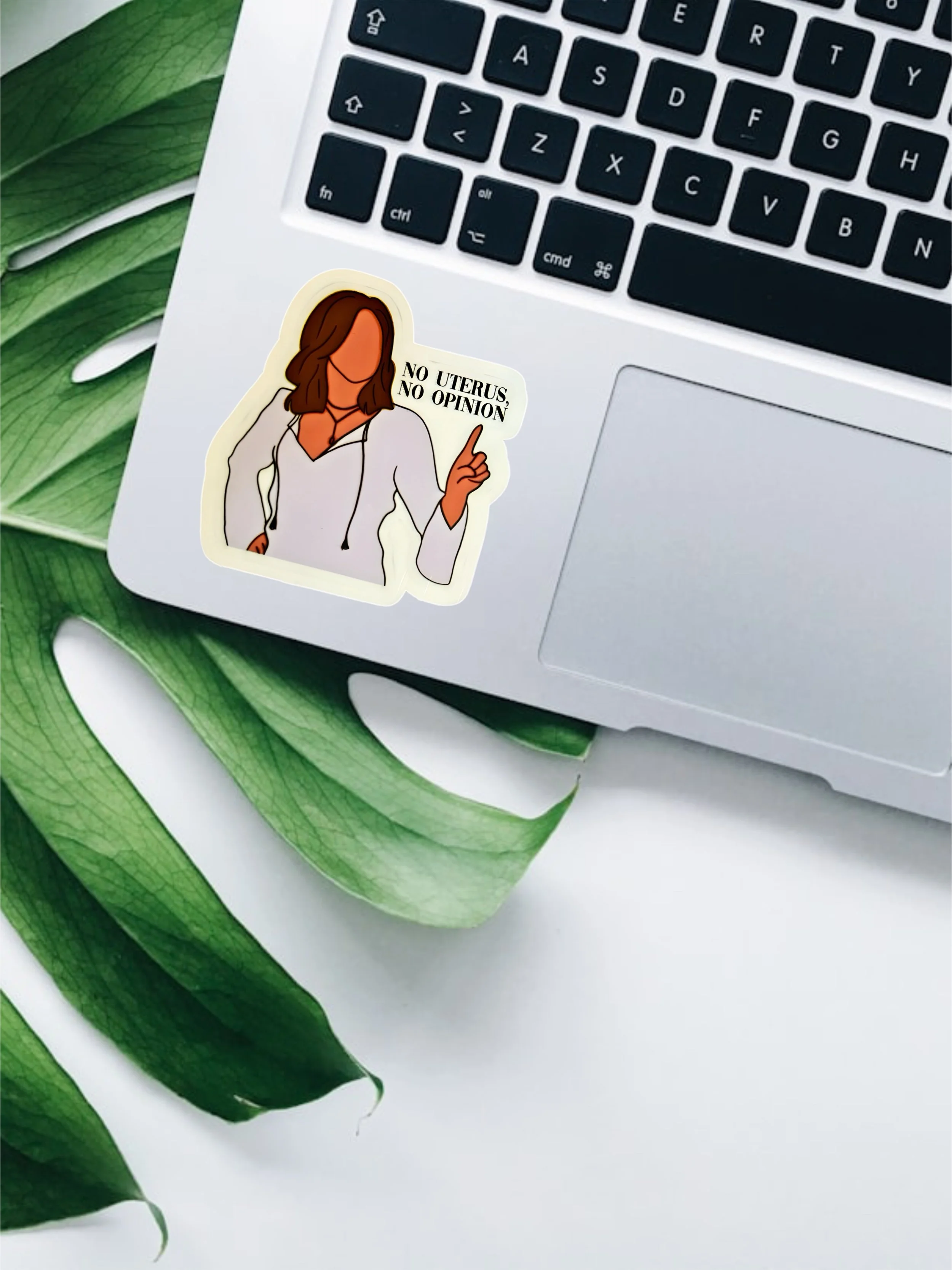 FRIENDS NO UTERUS NO OPINION.JPG