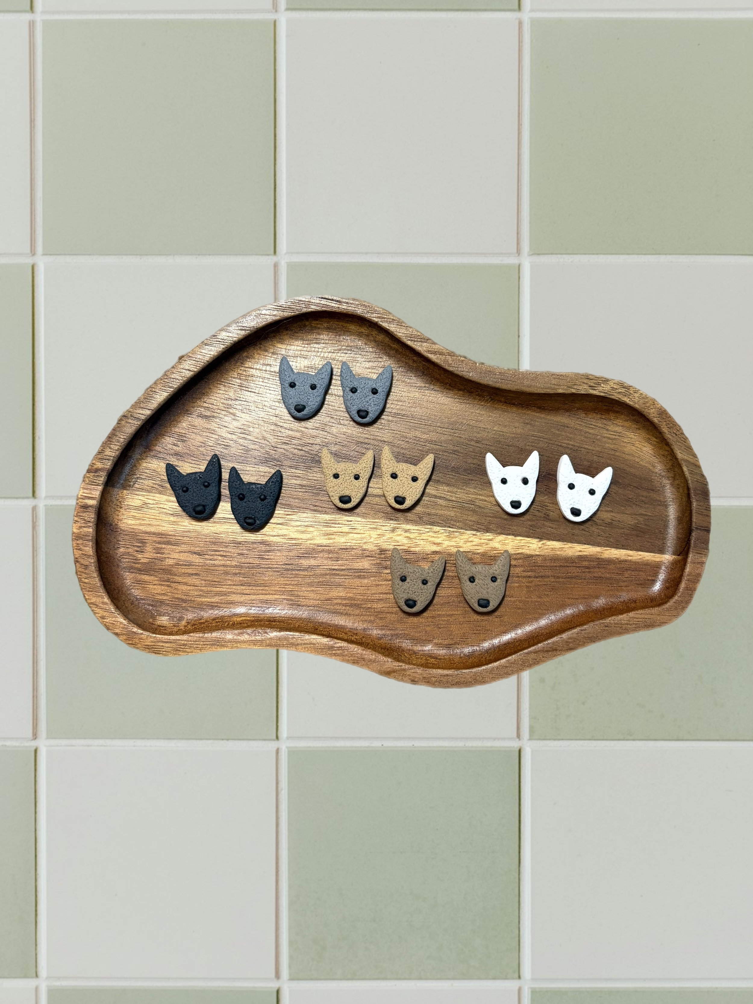 Bull Terrier Dog Studs