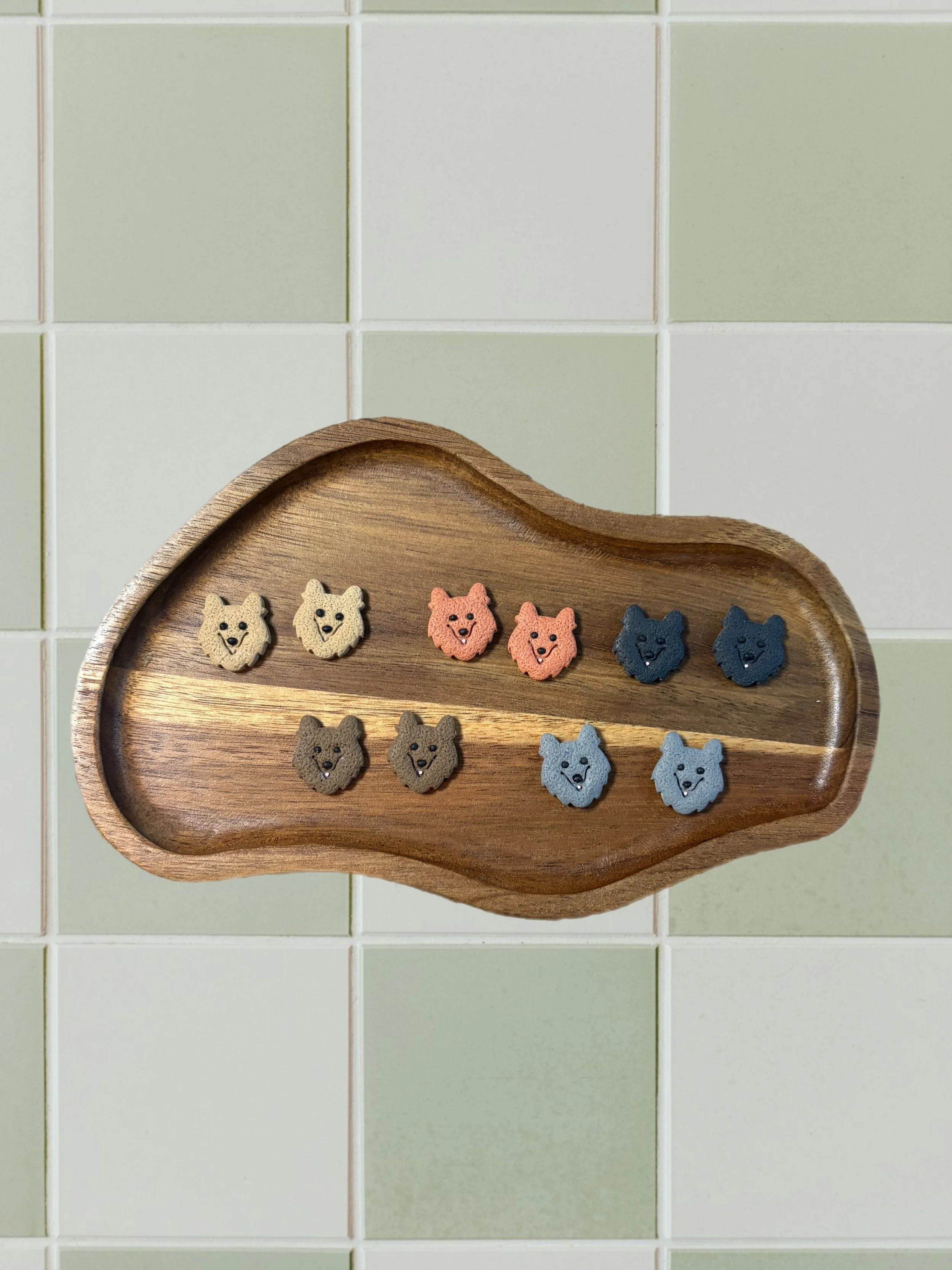 Australian Shepherd Studs