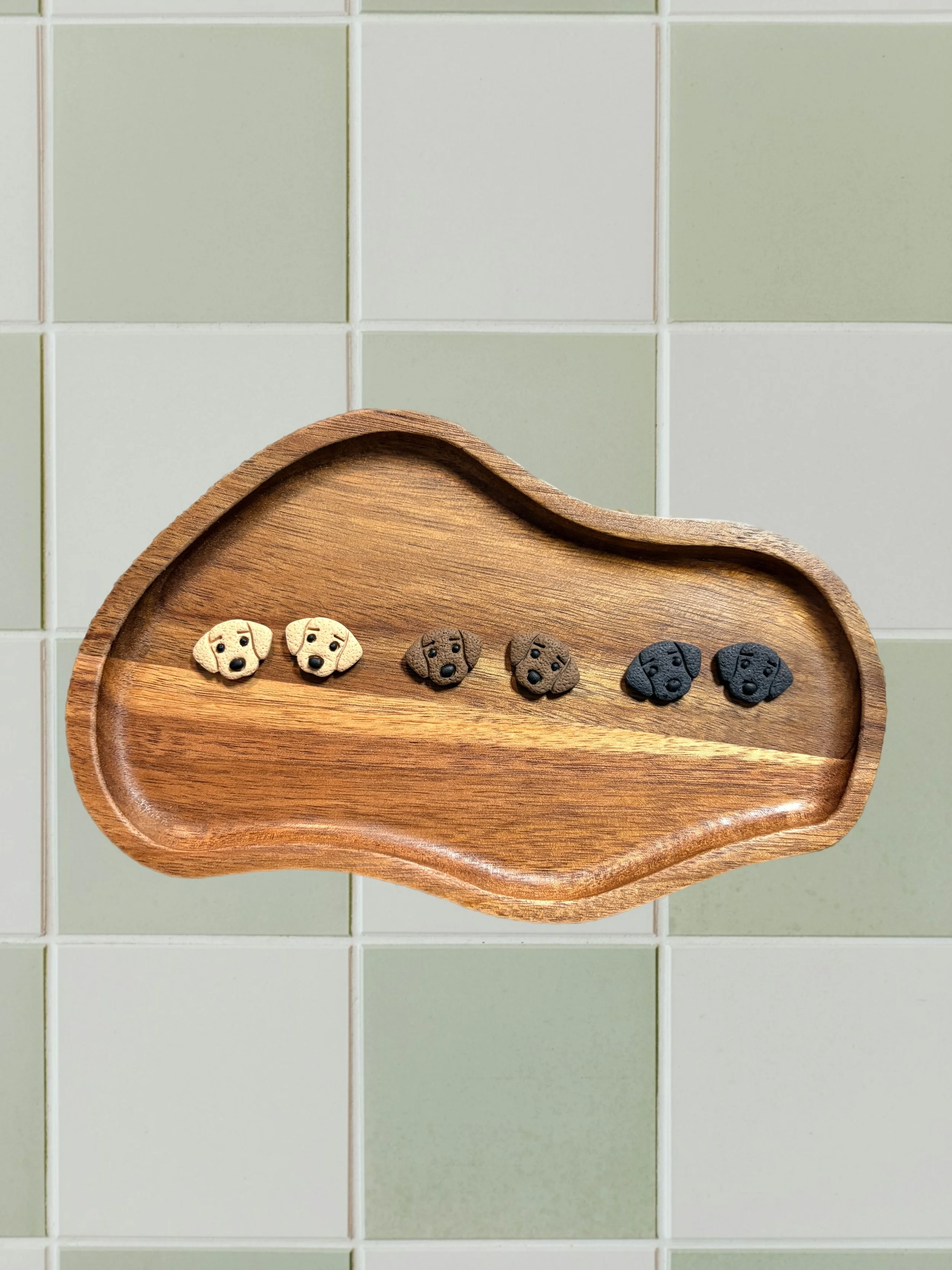 Labrador Retriever Studs