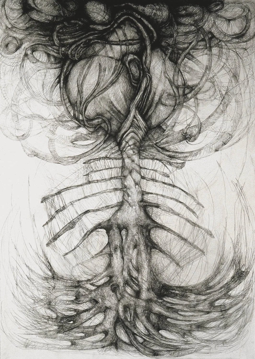 Untitled (c. 2001) - Pencil and pastel