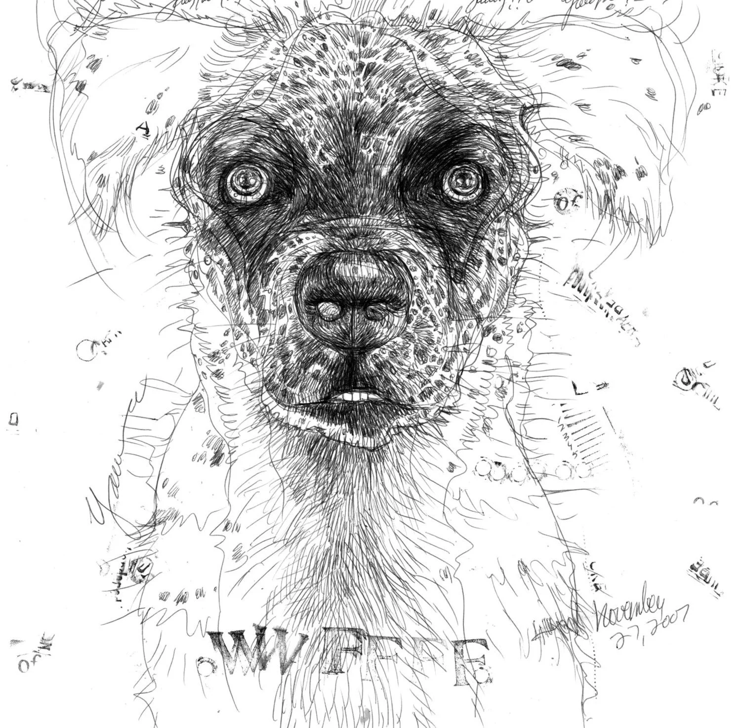 Untitled (c. 2014) - Pencil and pastel