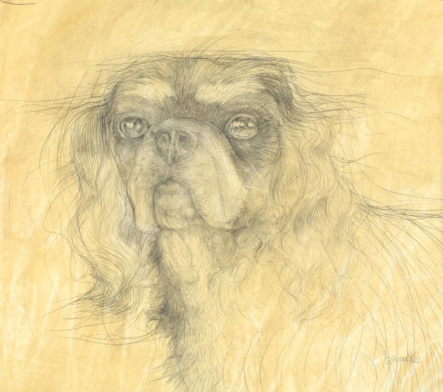 Untitled (c. 2011) - Pencil and pastel