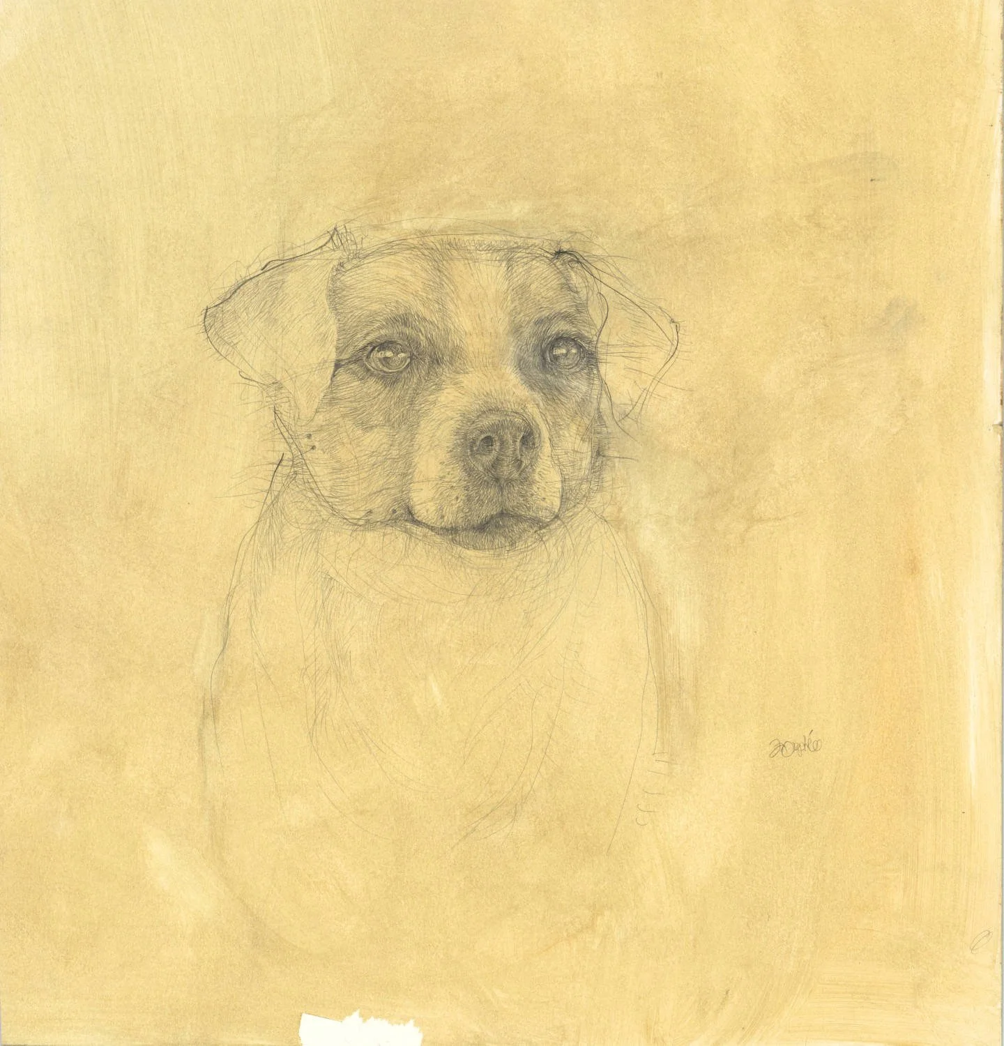 Untitled (c. 2011) - Pencil and pastel