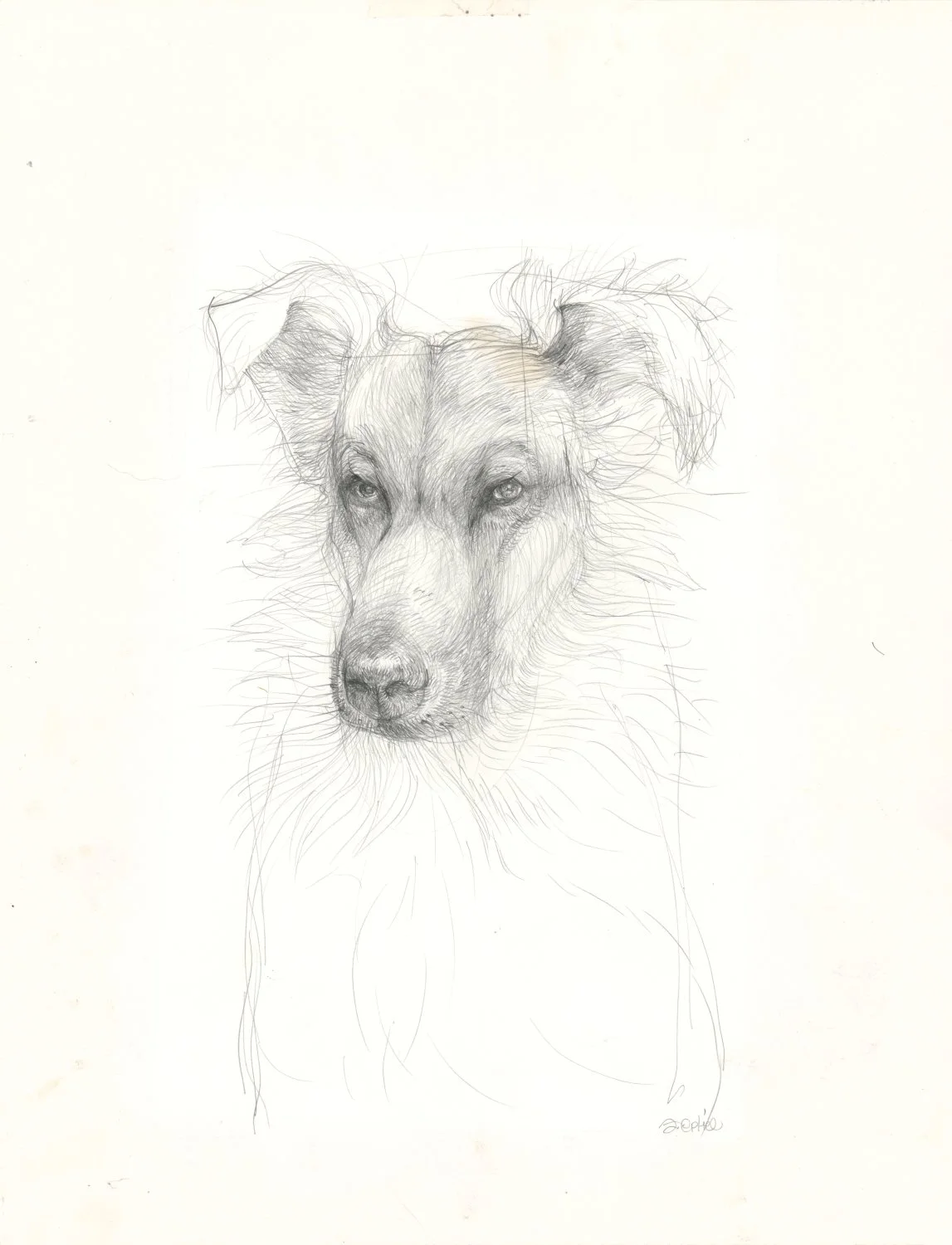 Untitled (c. 2011) - Pencil and pastel