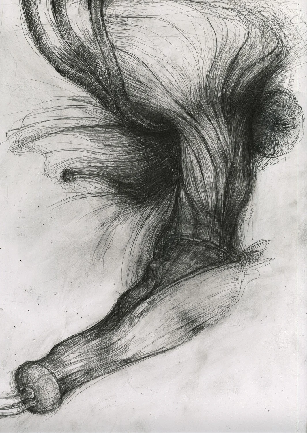 Untitled (2016) - Pen and ink