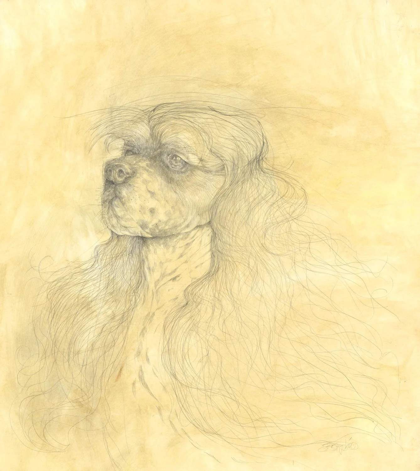 Untitled (c. 2011) - Pencil and pastel