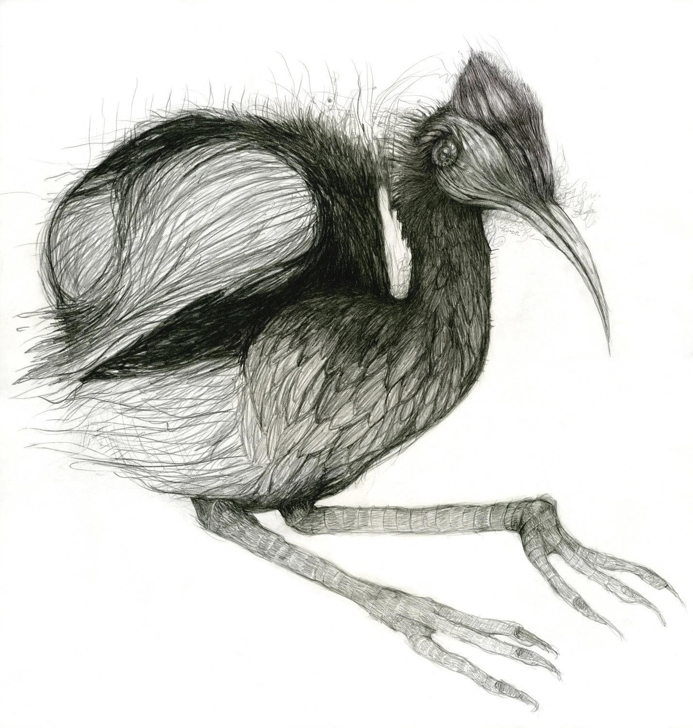 Untitled (c. 2017) - Pencil