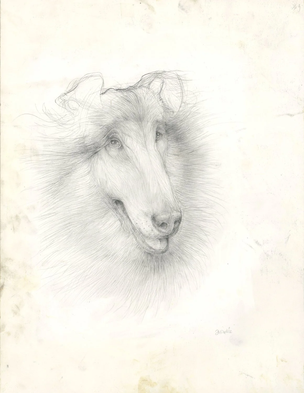 Untitled (c. 2011) - Pencil and pastel