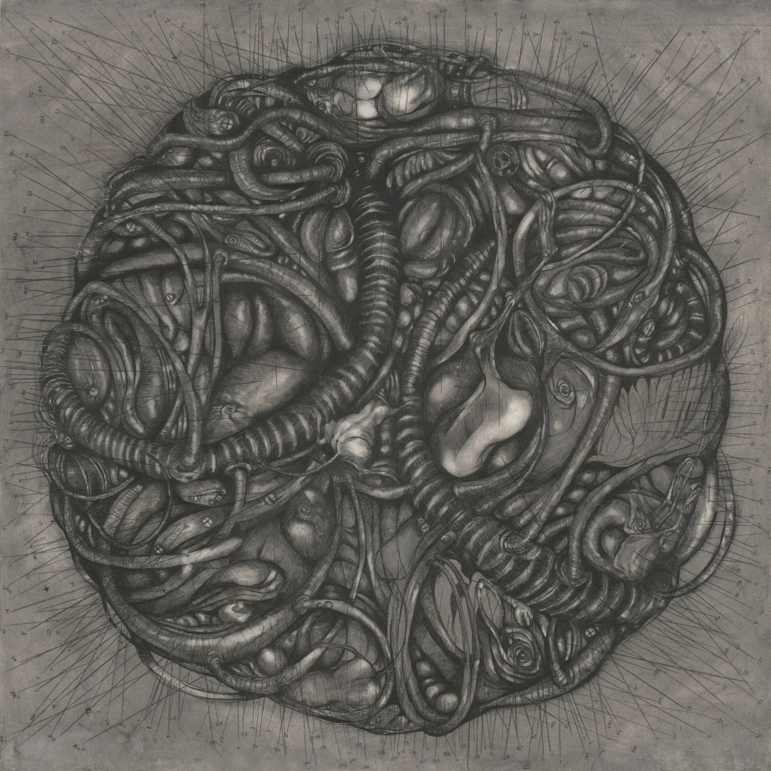 Untitled (c. 1997) - Pencil and pastel