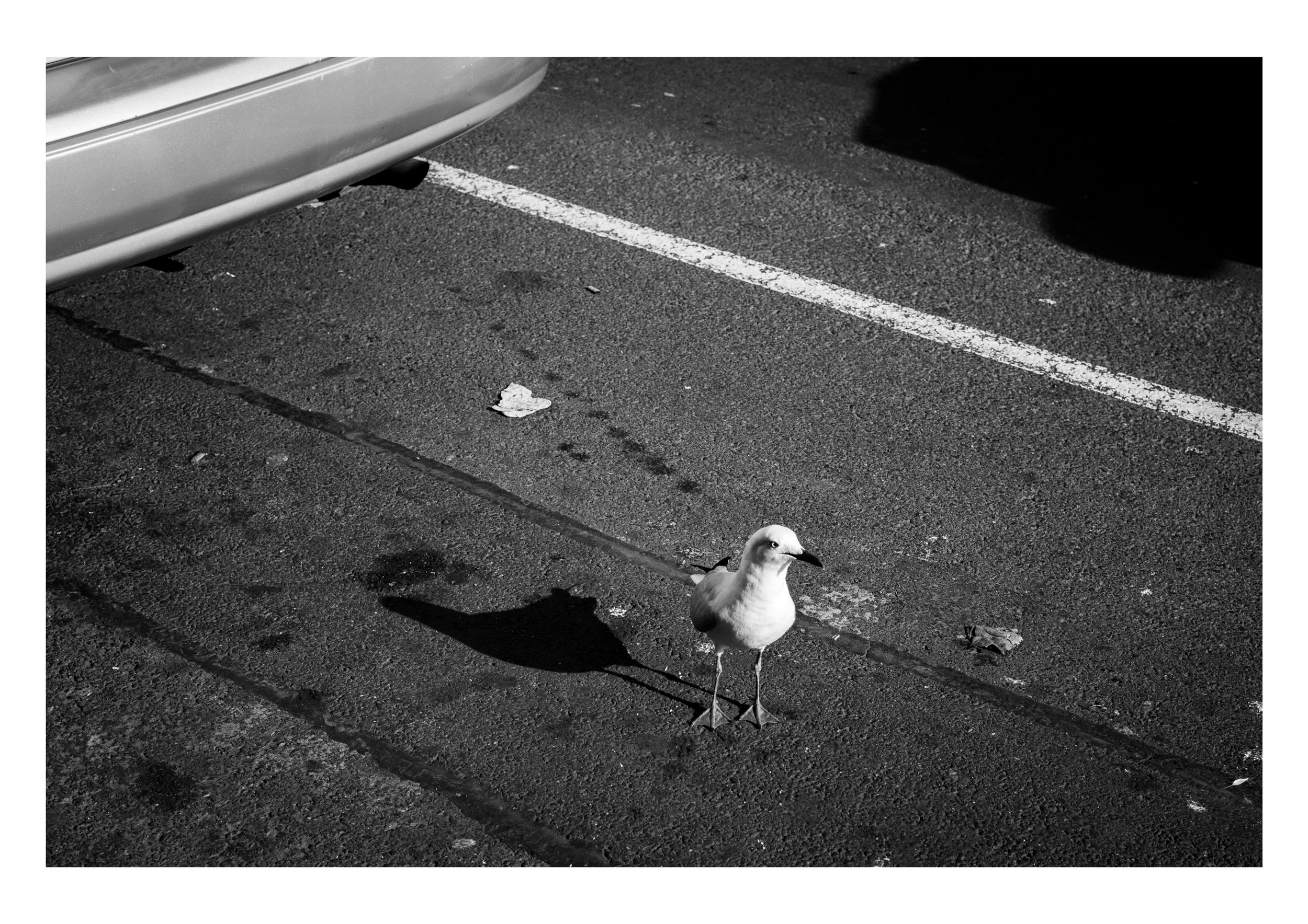 street_11.jpg