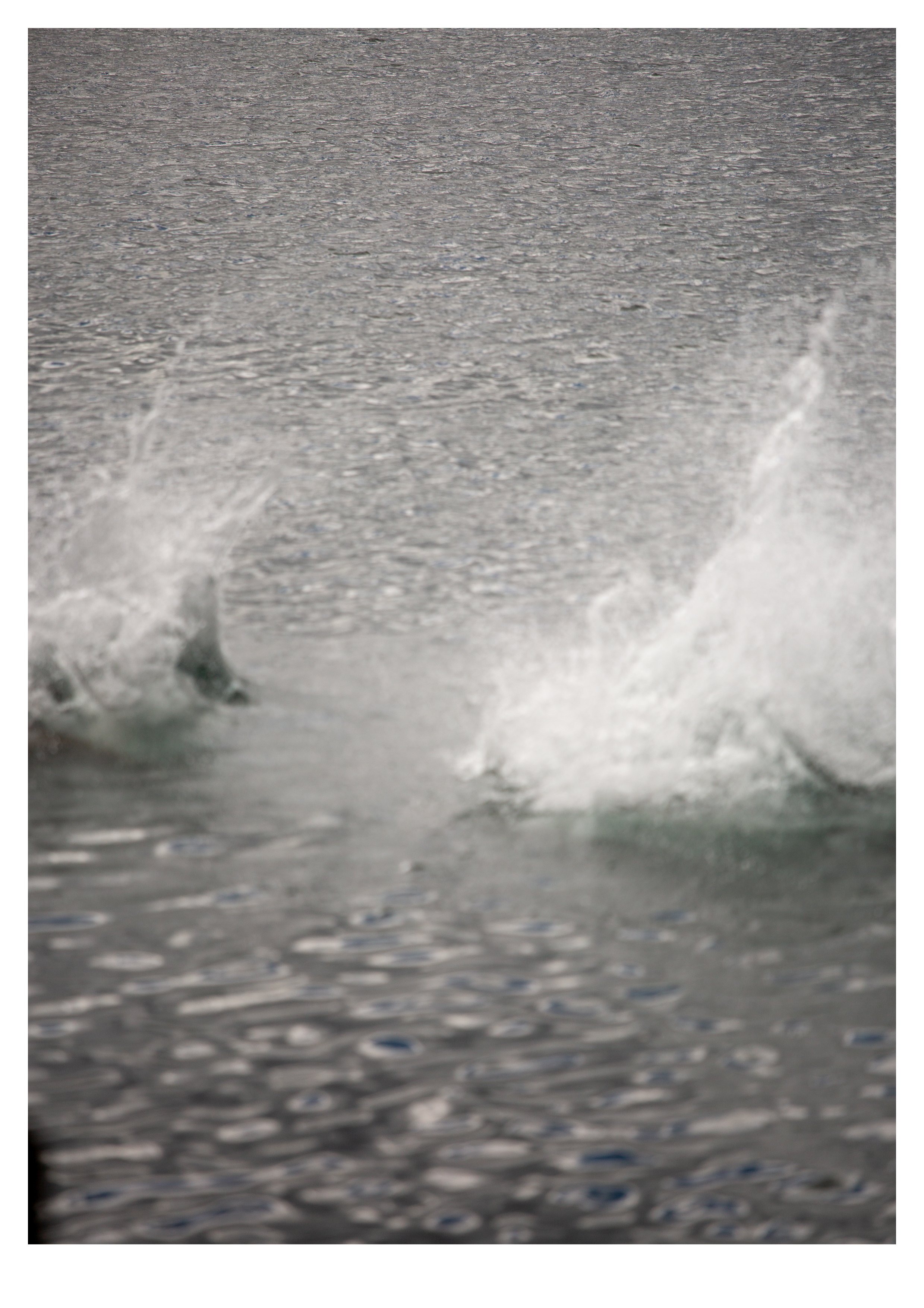 PierJump_5.jpg