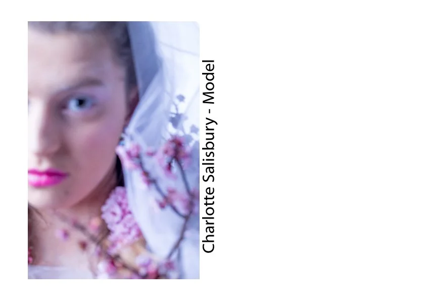 charlotte_3.jpg