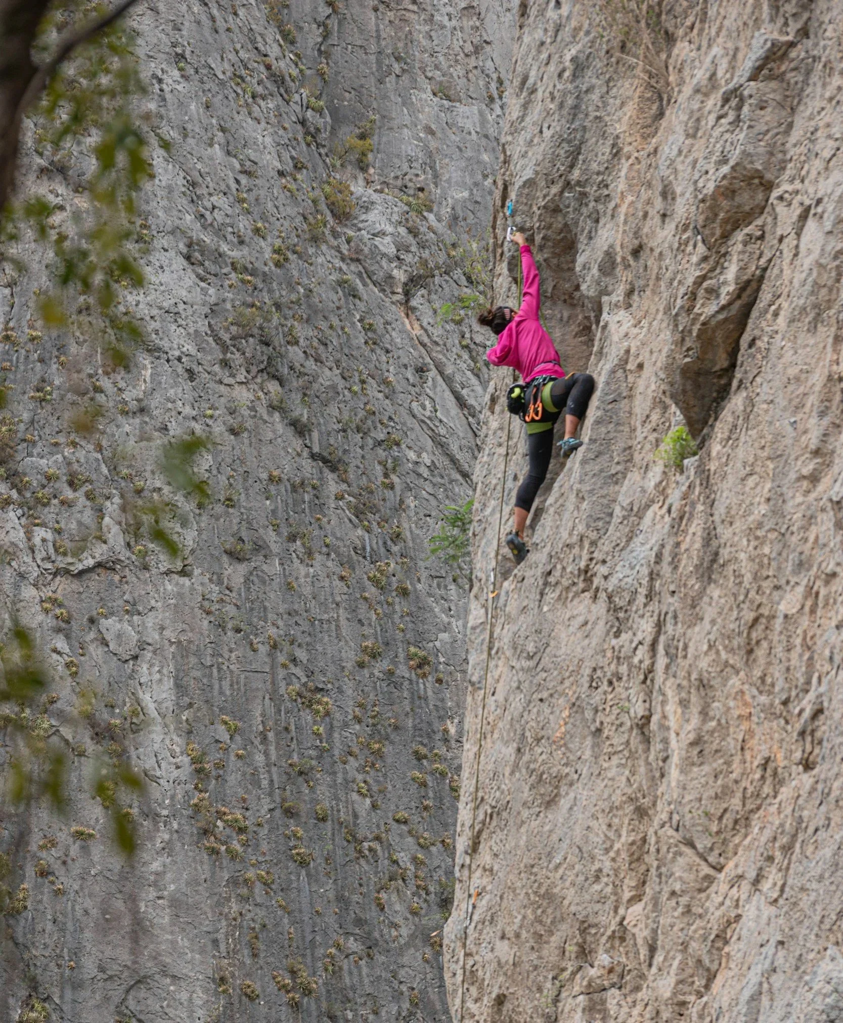 Finding Your Passion