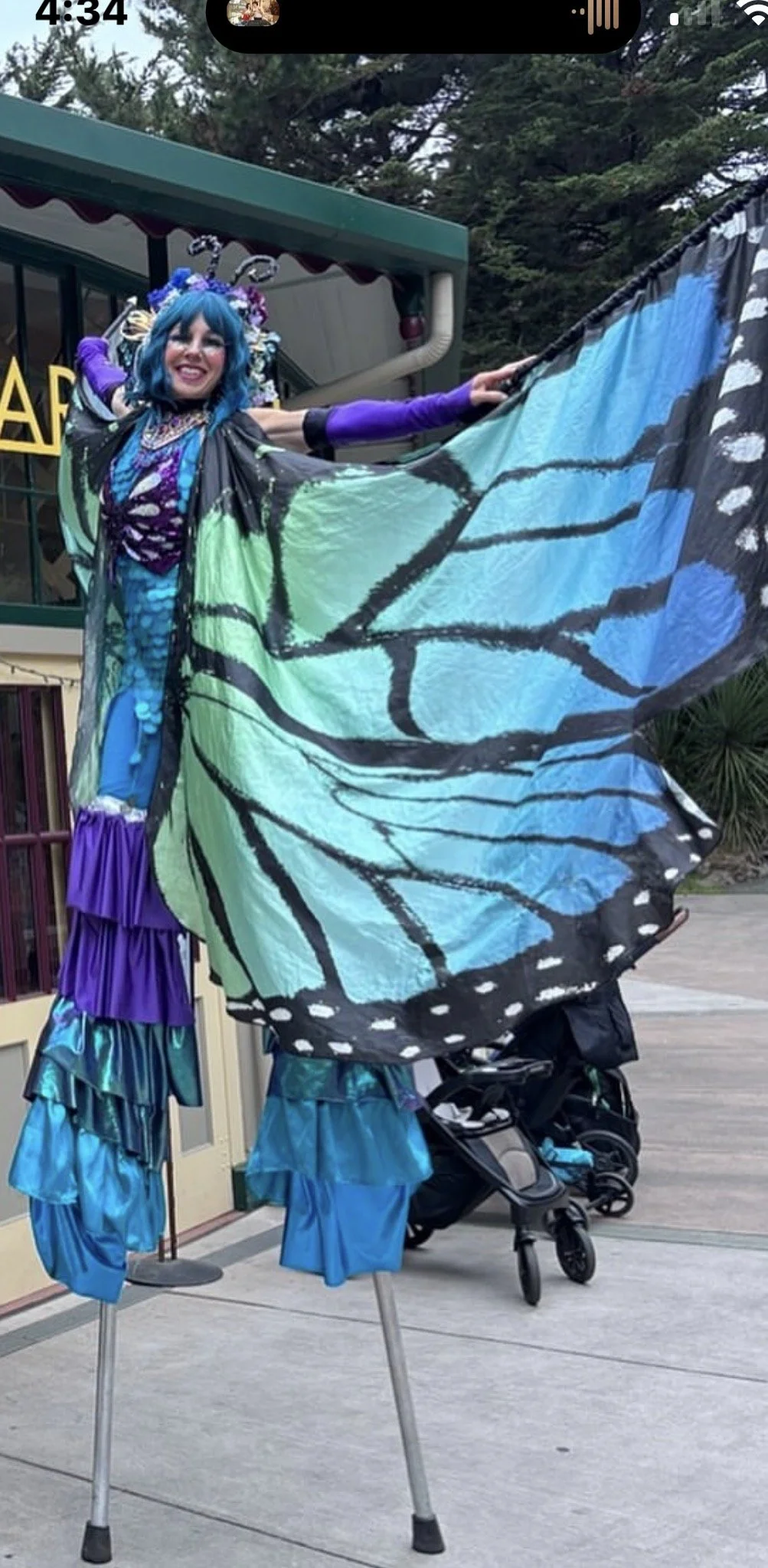 butterfly stilts.jpg