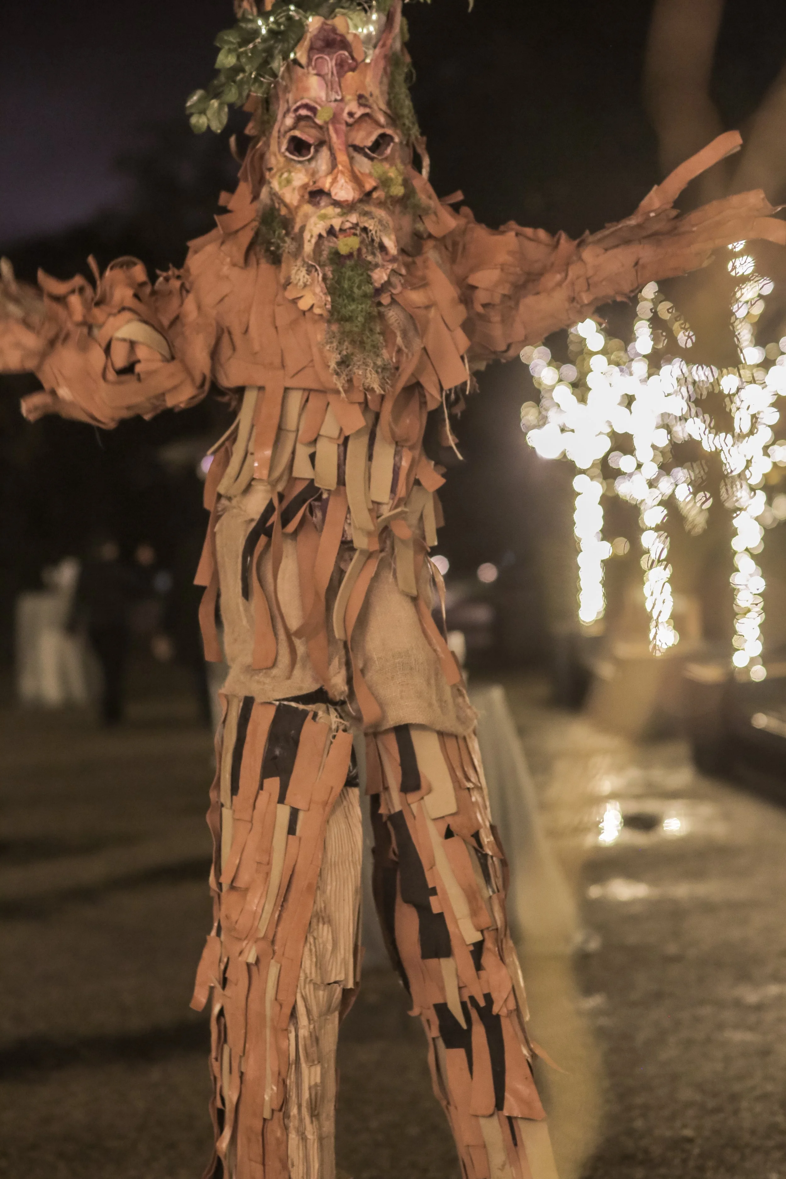 stilts tree.jpg