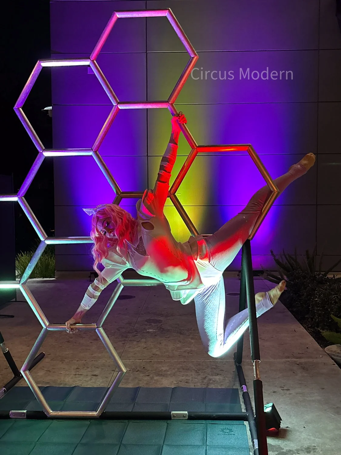 honey comb at XAI.jpg