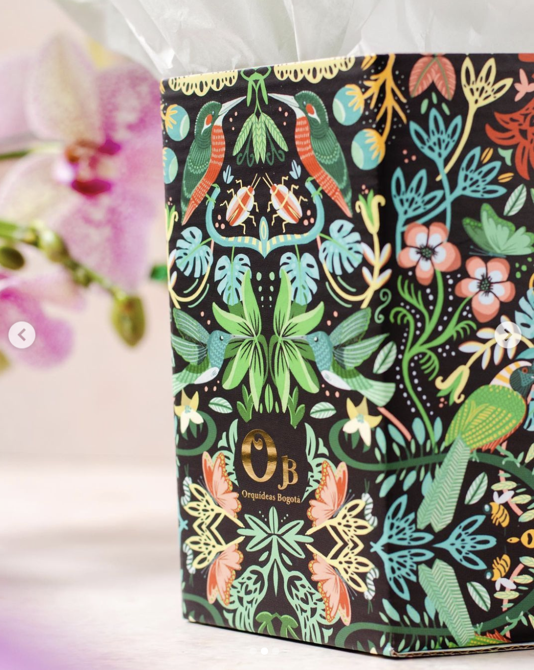 Packaging Illustration - Orqu{ideas Bogotá