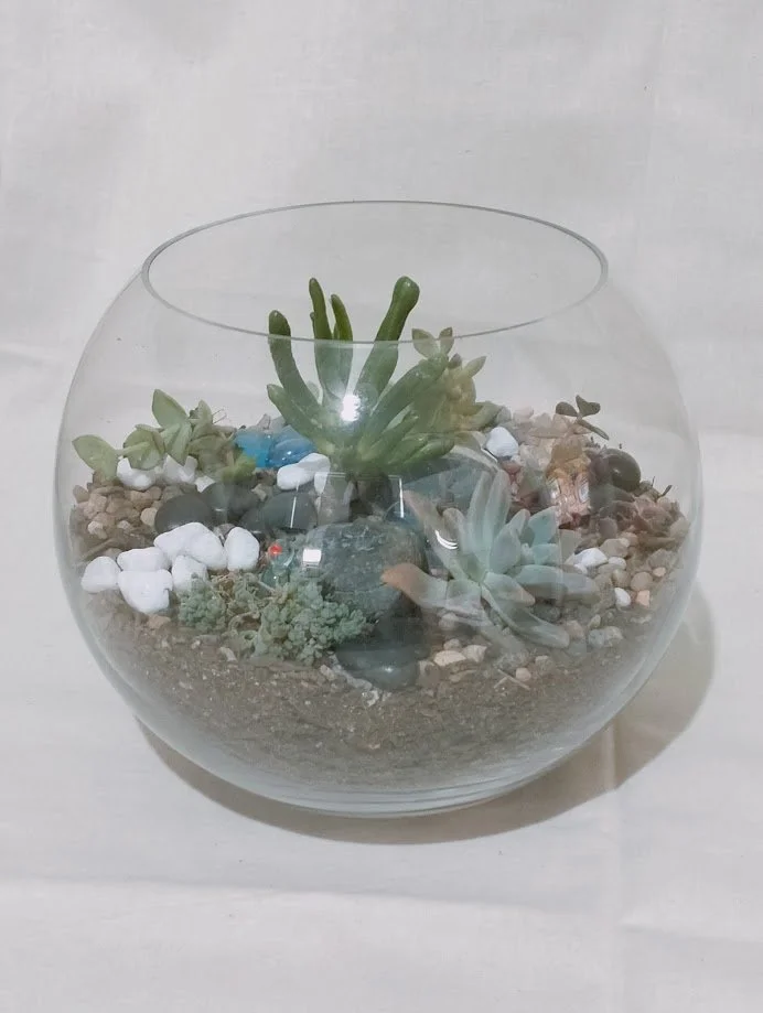 Medium Terrarium - 20cm